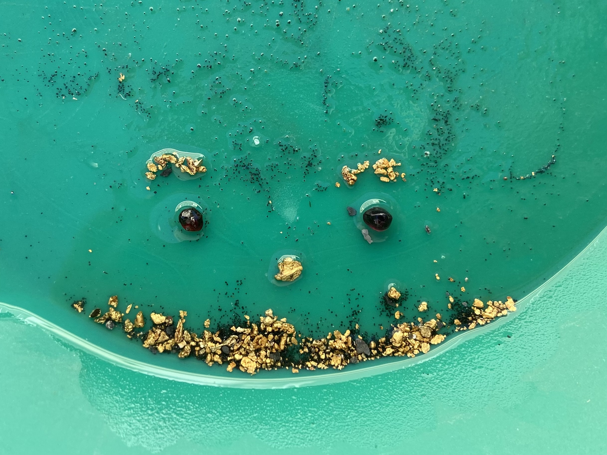 Member content 74 of 97