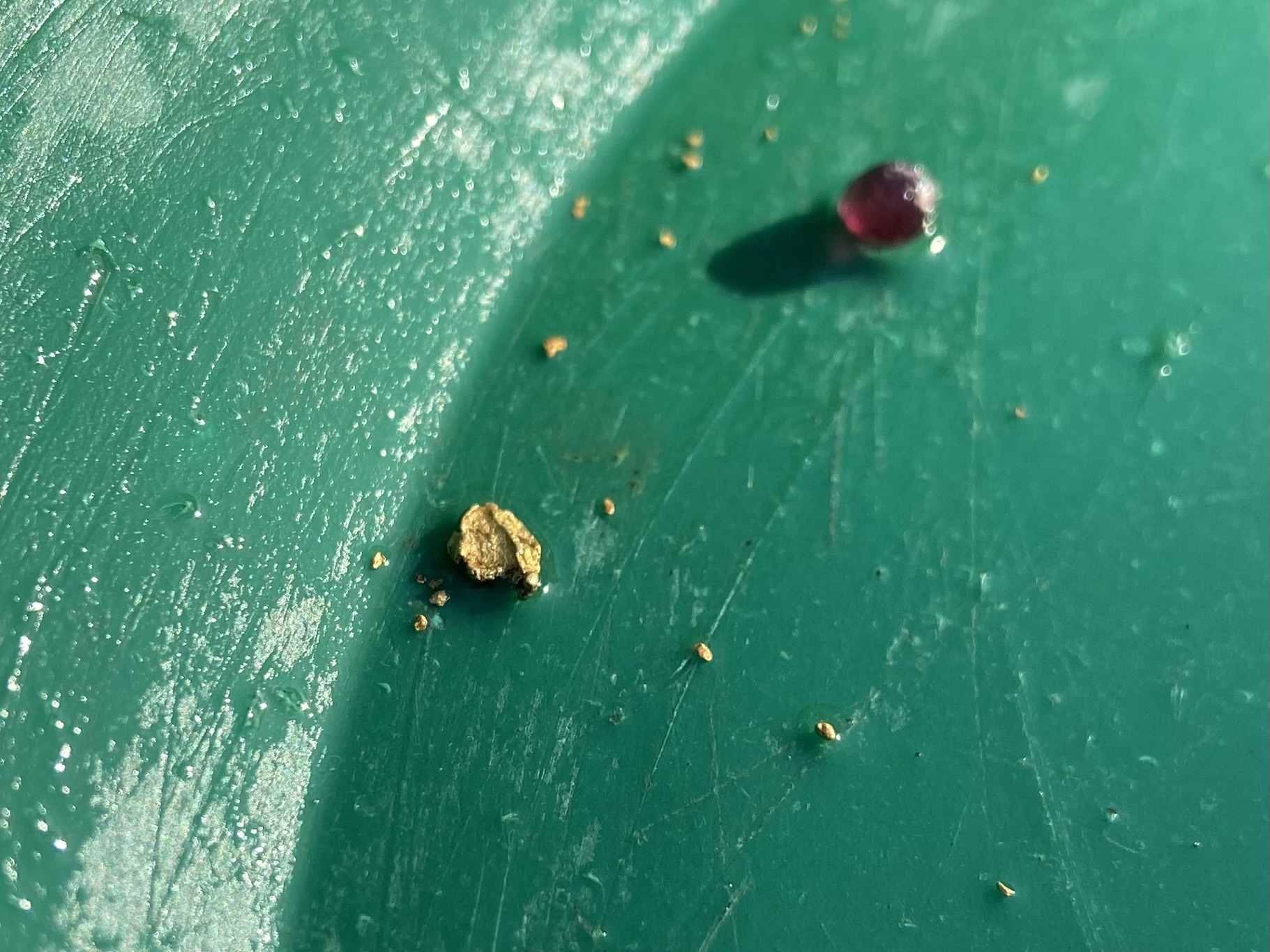 Member content 75 of 97