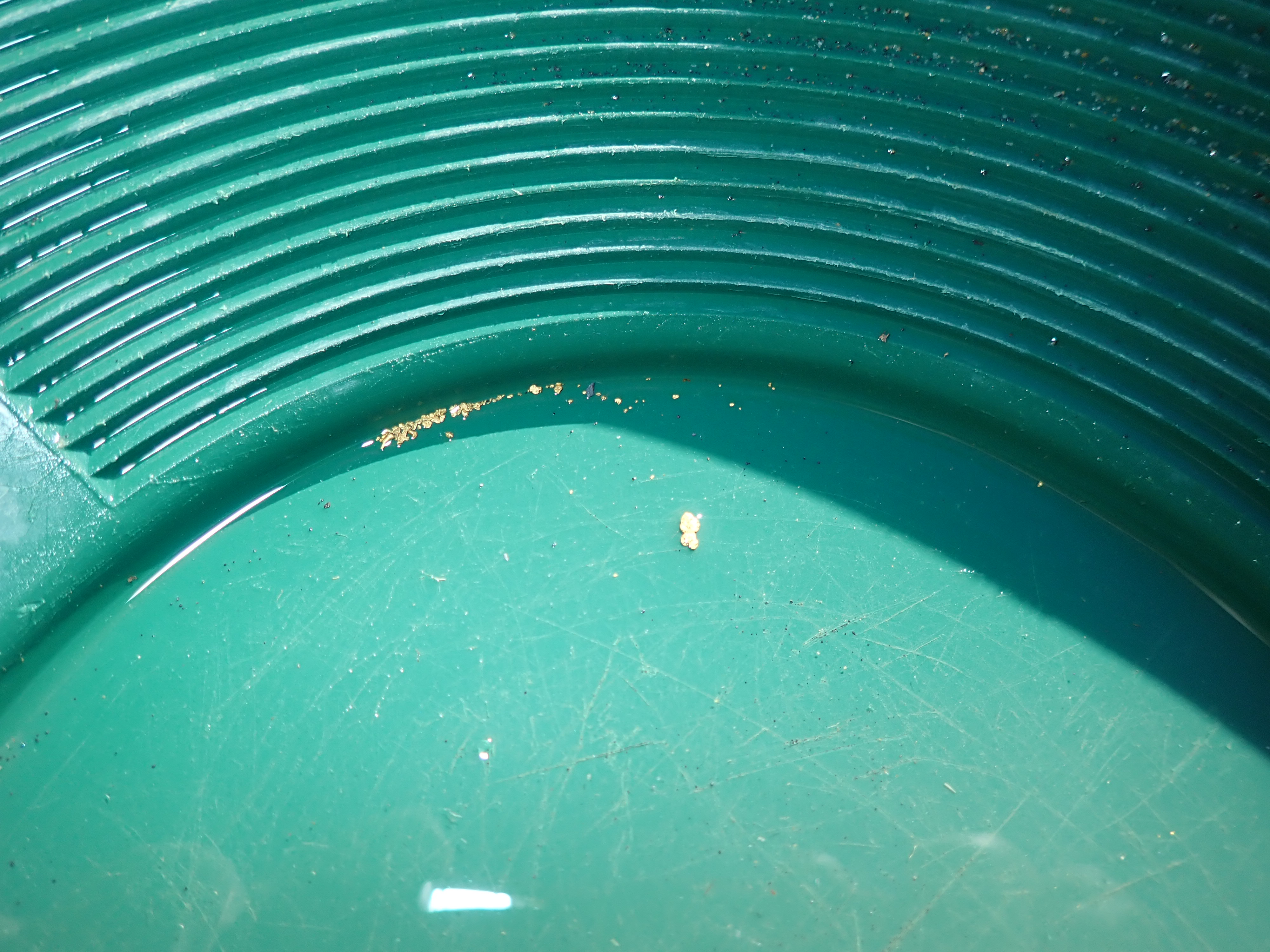 Member content 3 of 206