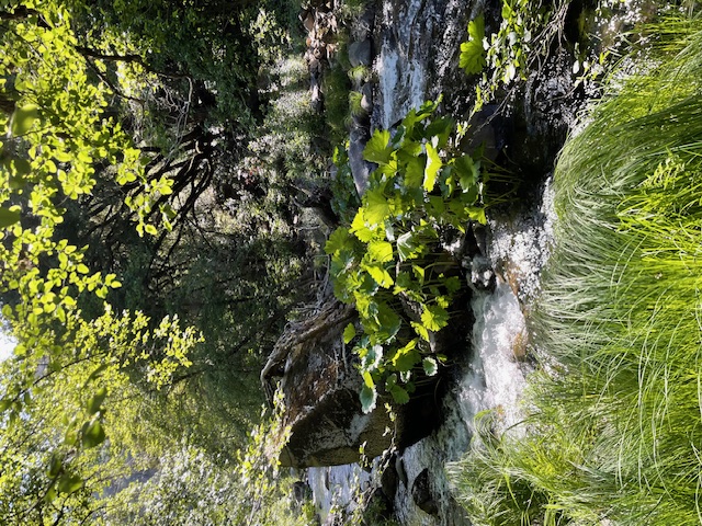 Member content 17 of 25