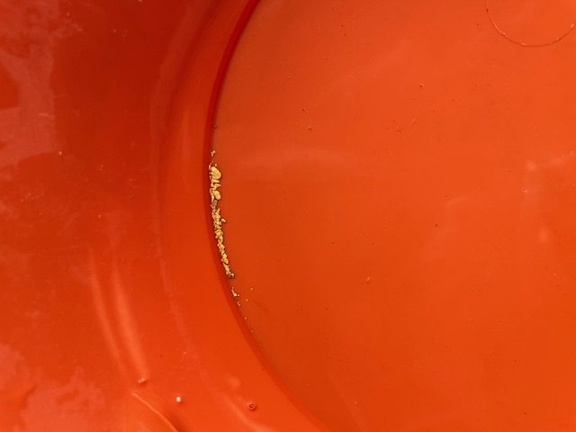 Member content 19 of 25