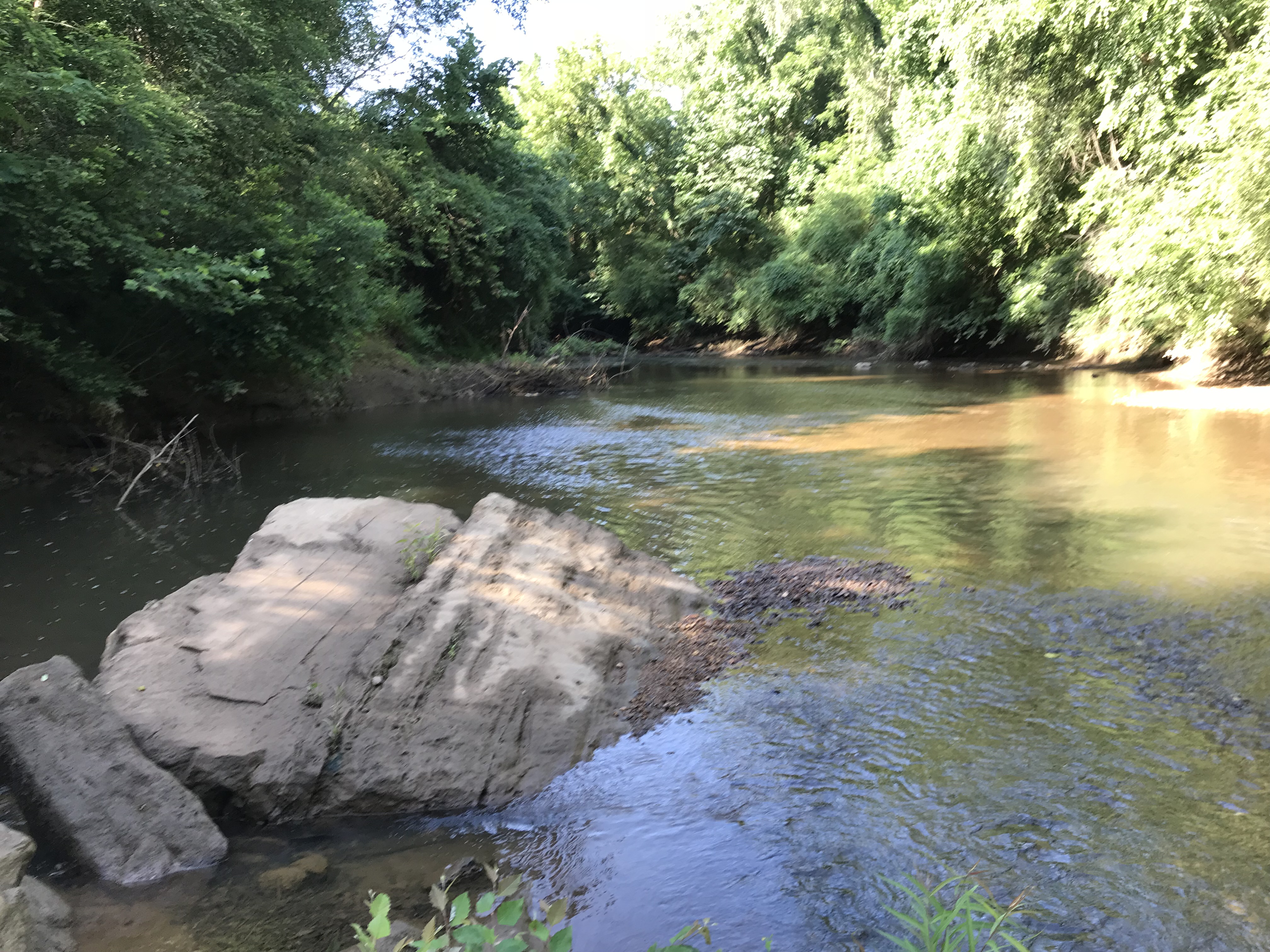 Member content 2 of 10