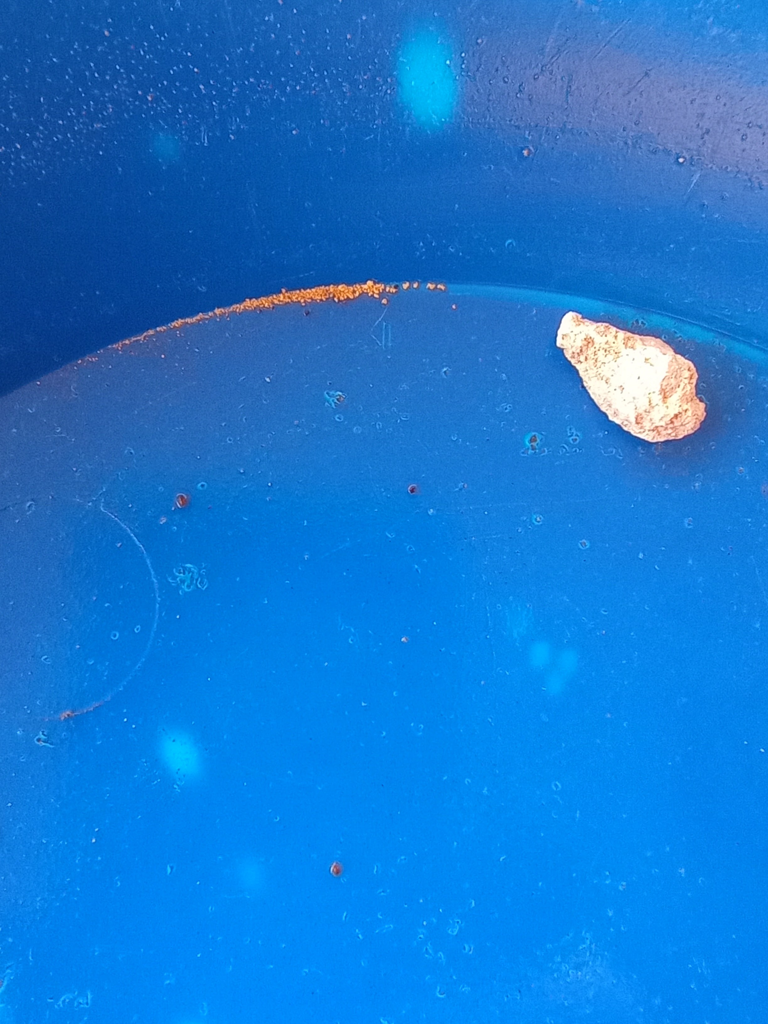 Member content 16 of 29