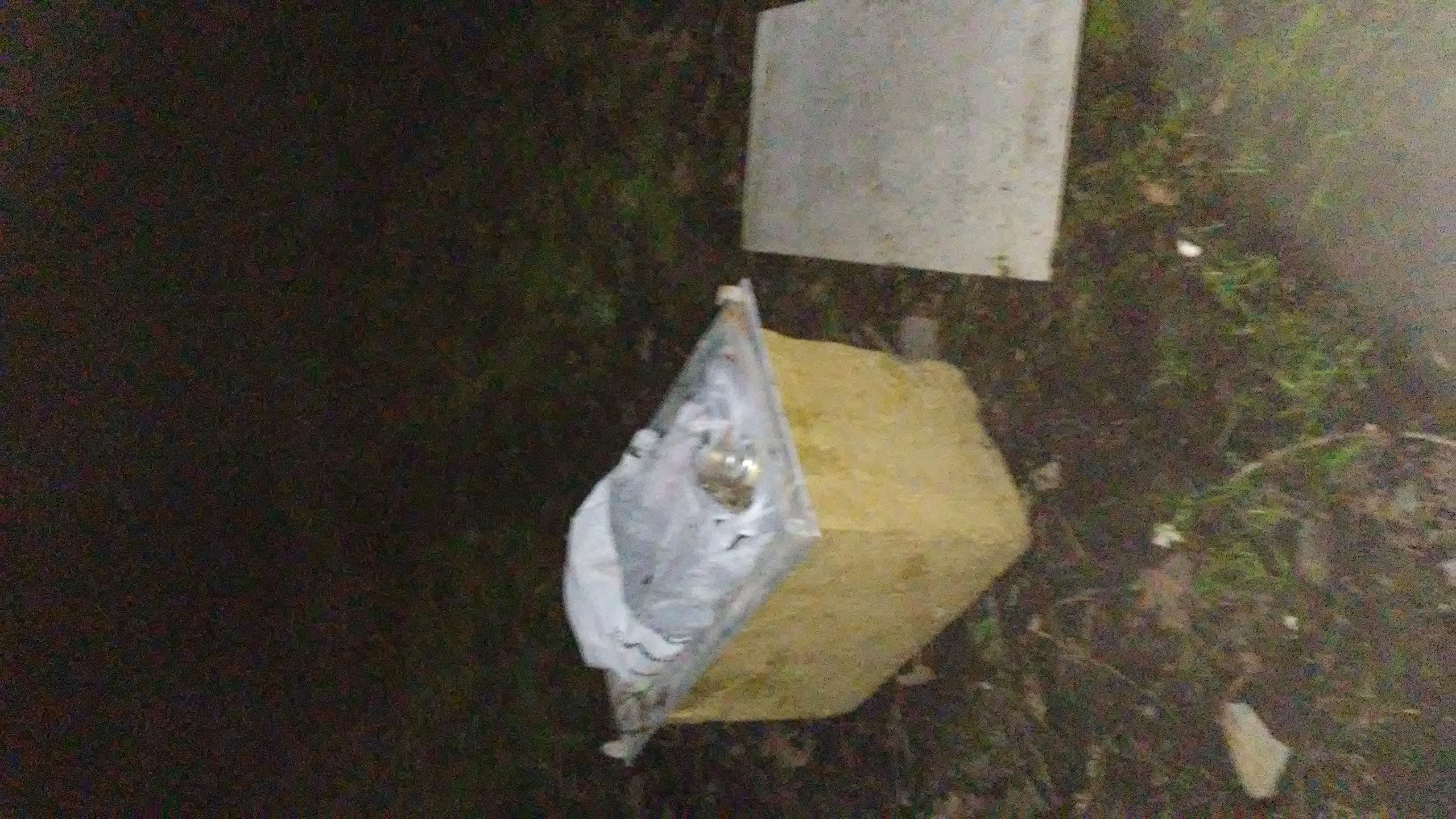 Member content 1 of 5