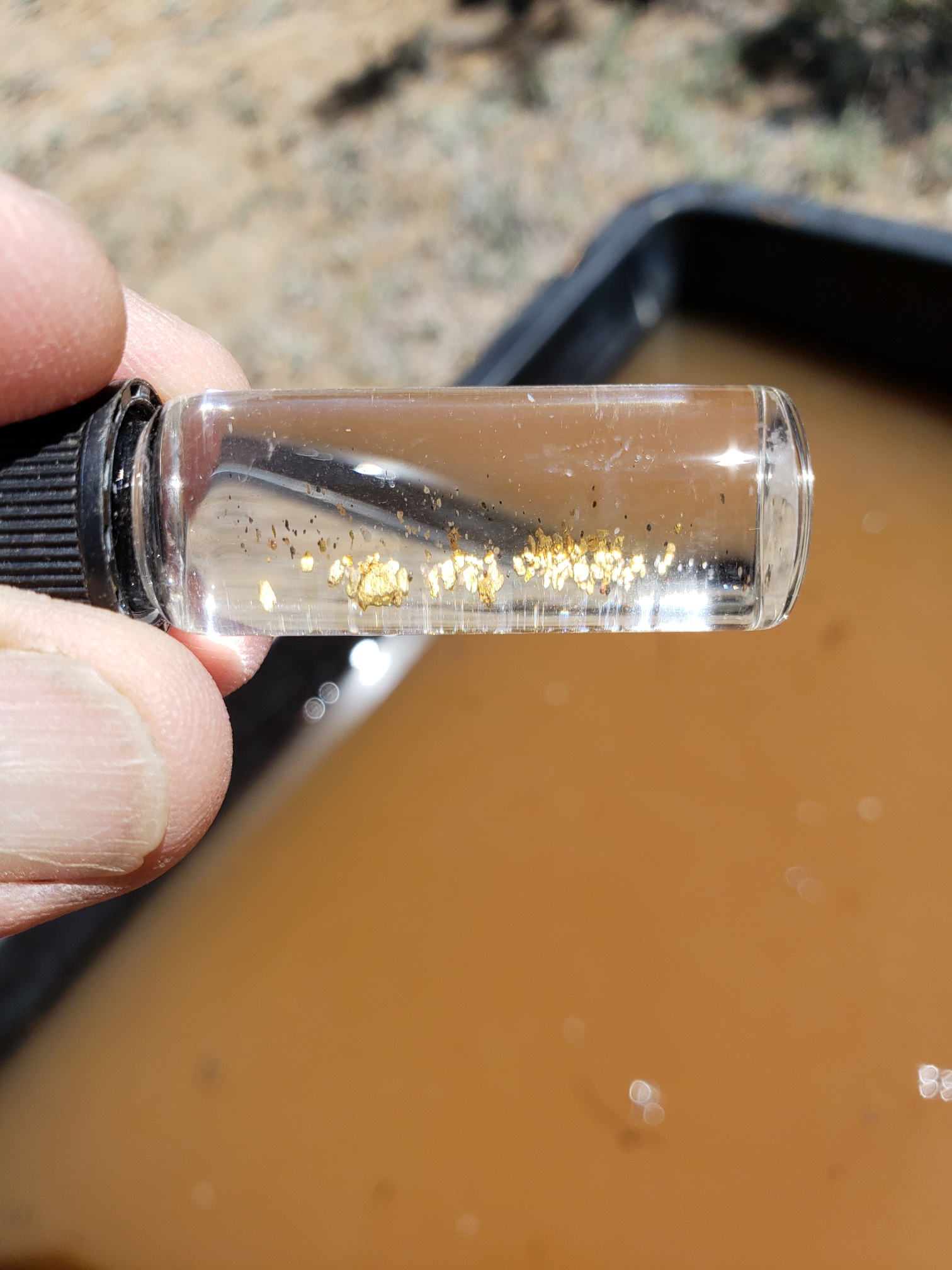 Member content 12 of 24