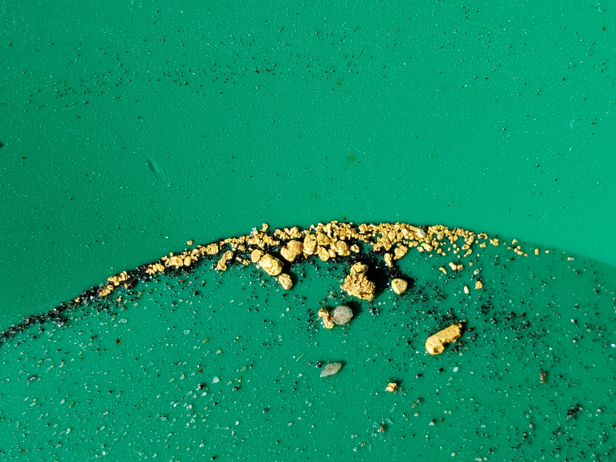 Member content 139 of 206