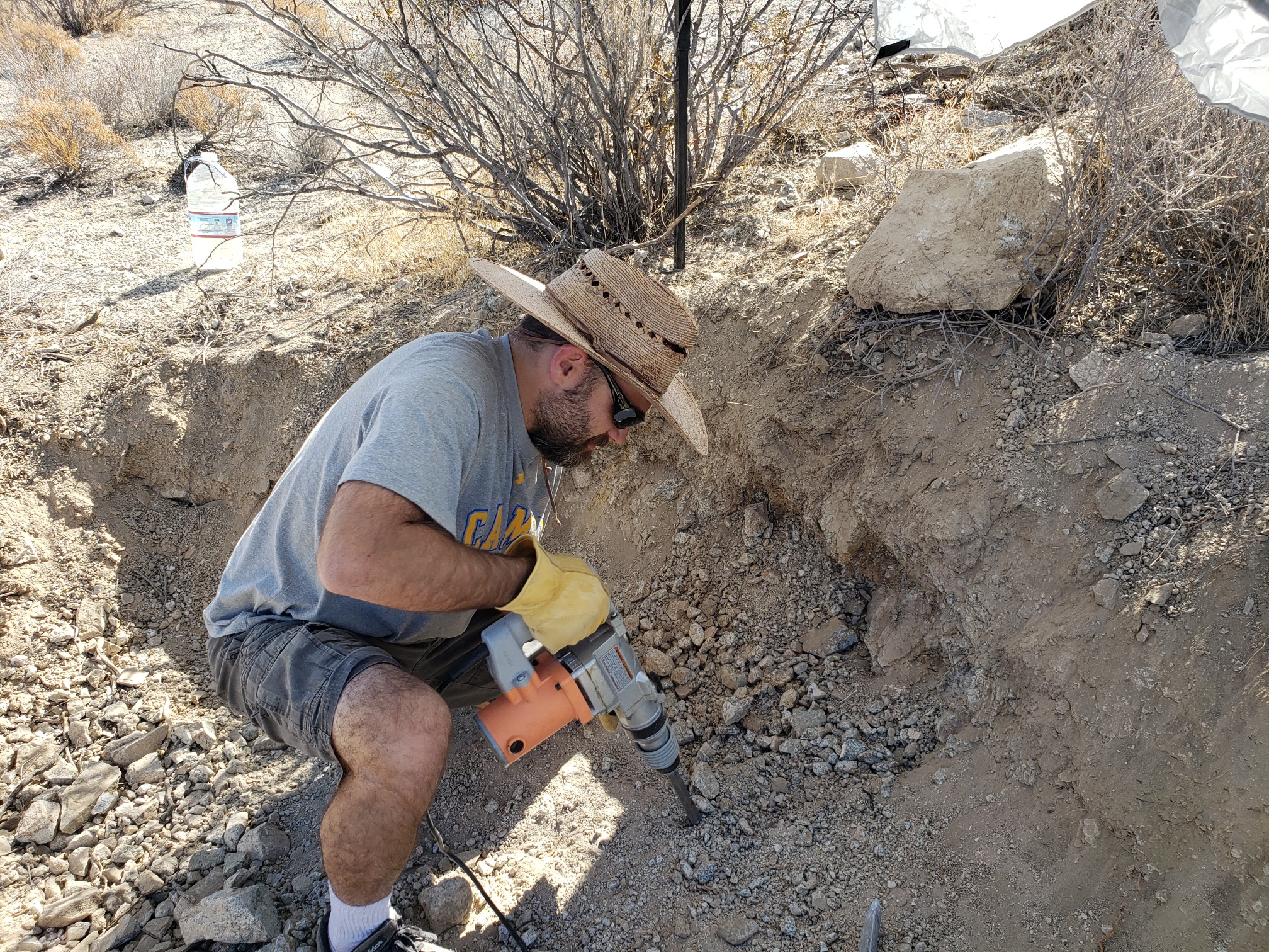 Member content 140 of 206