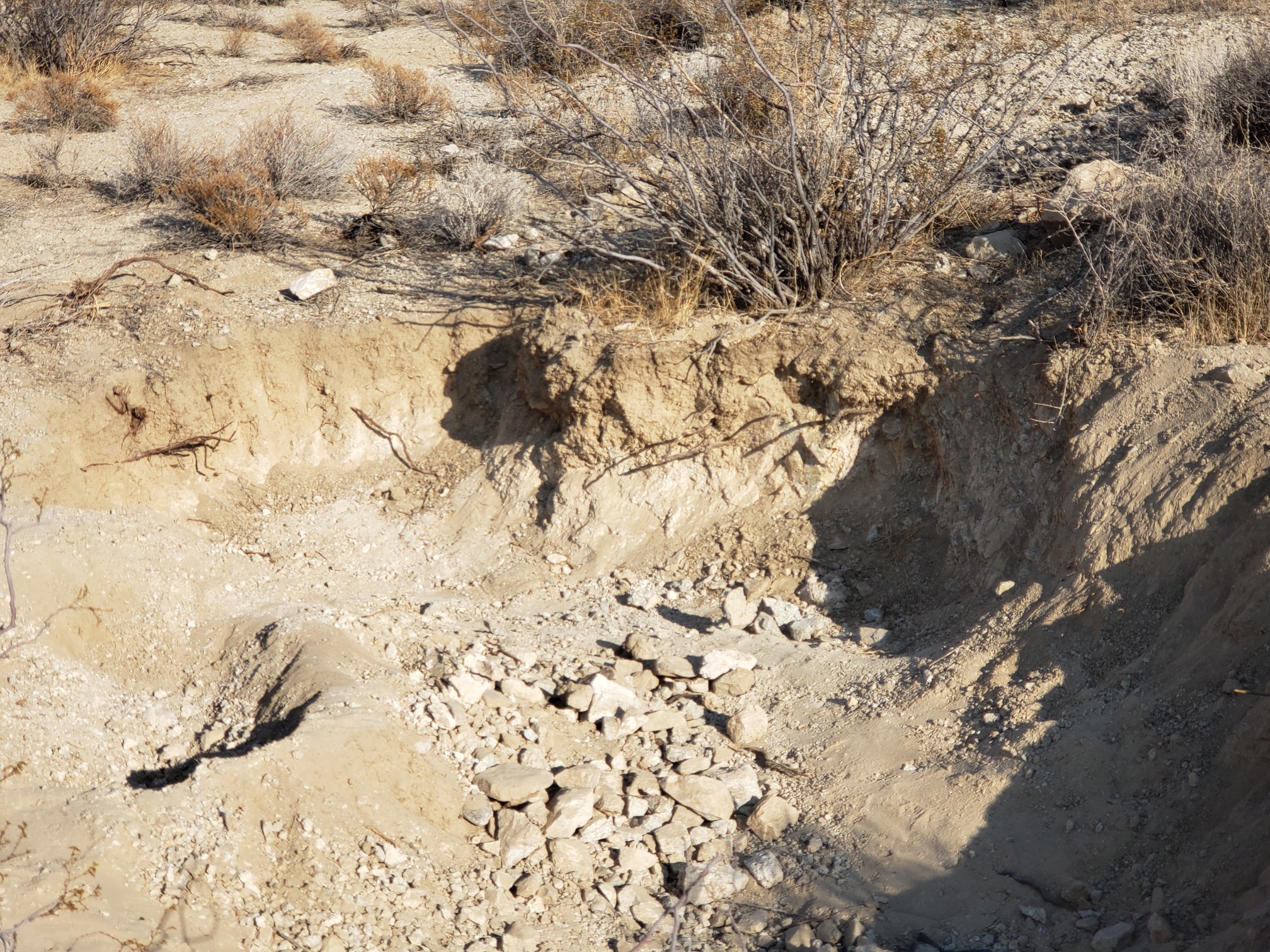 Member content 141 of 206