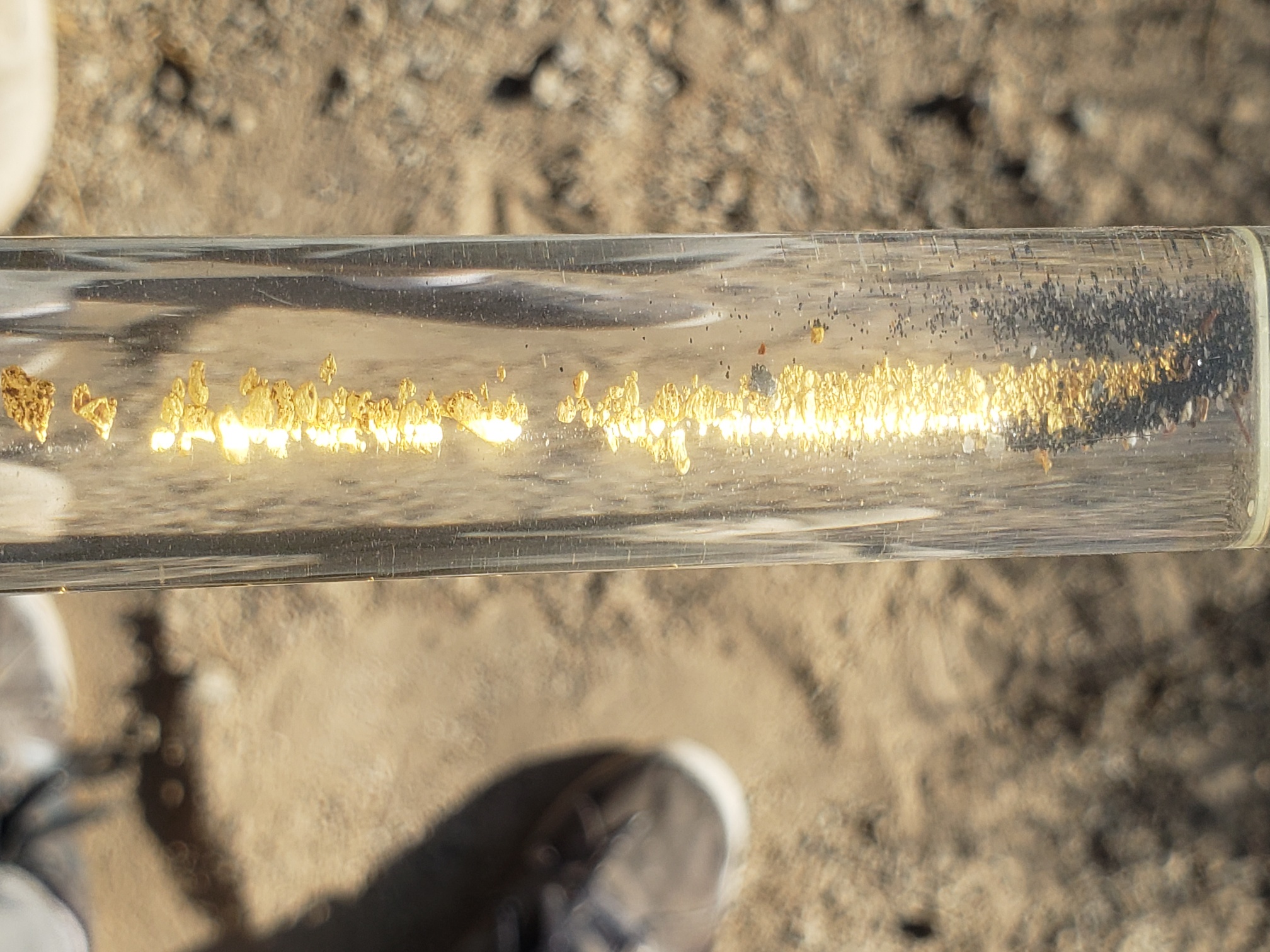 Member content 142 of 206