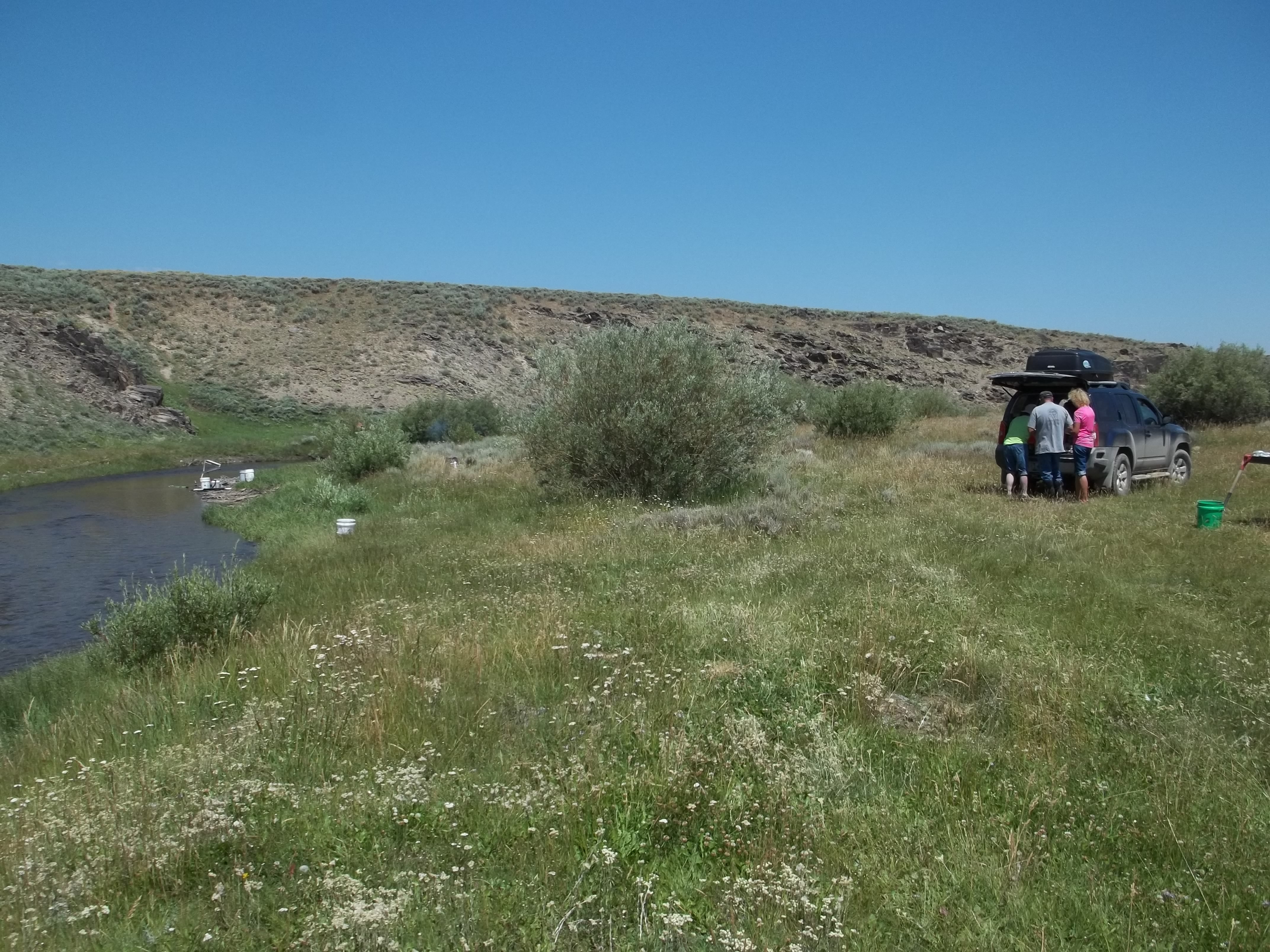 Member content 1 of 12