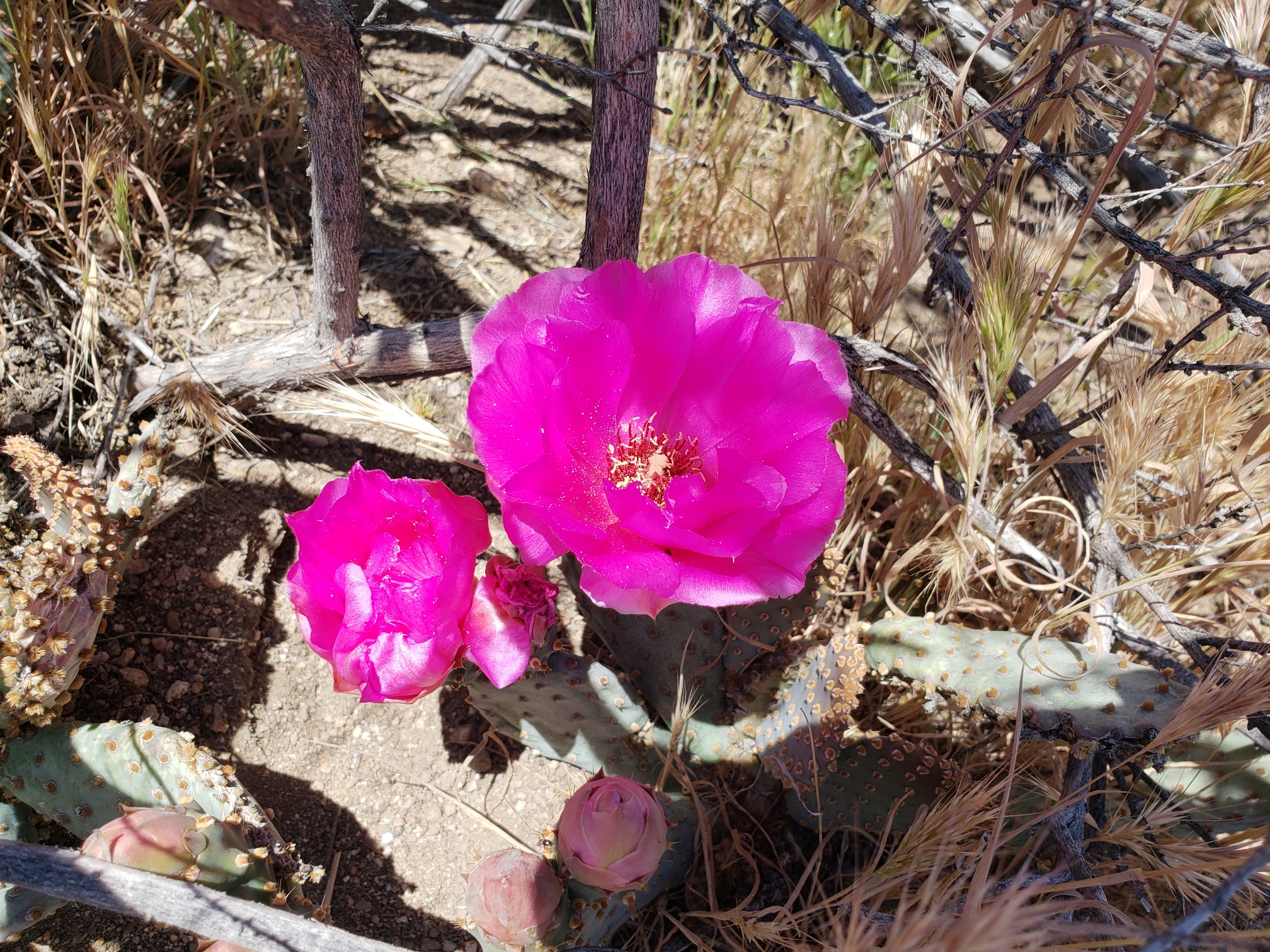 Member content 18 of 97