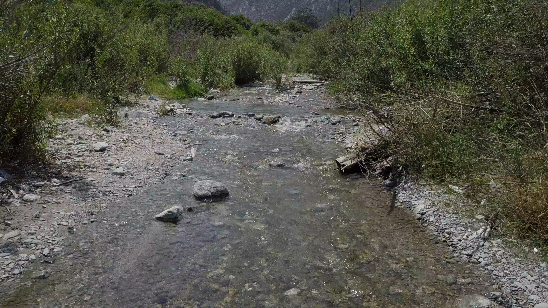 Member content 6 of 33