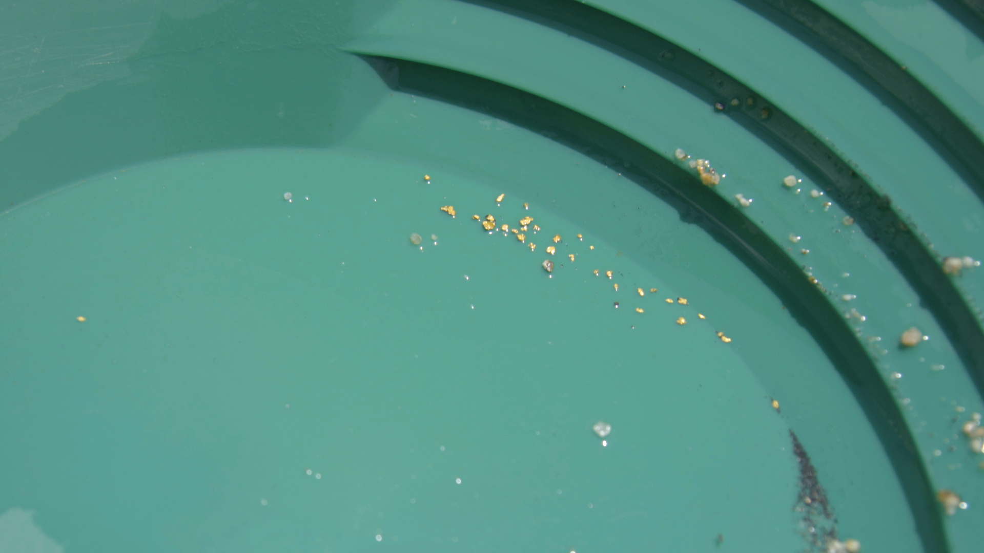 Member content 7 of 33