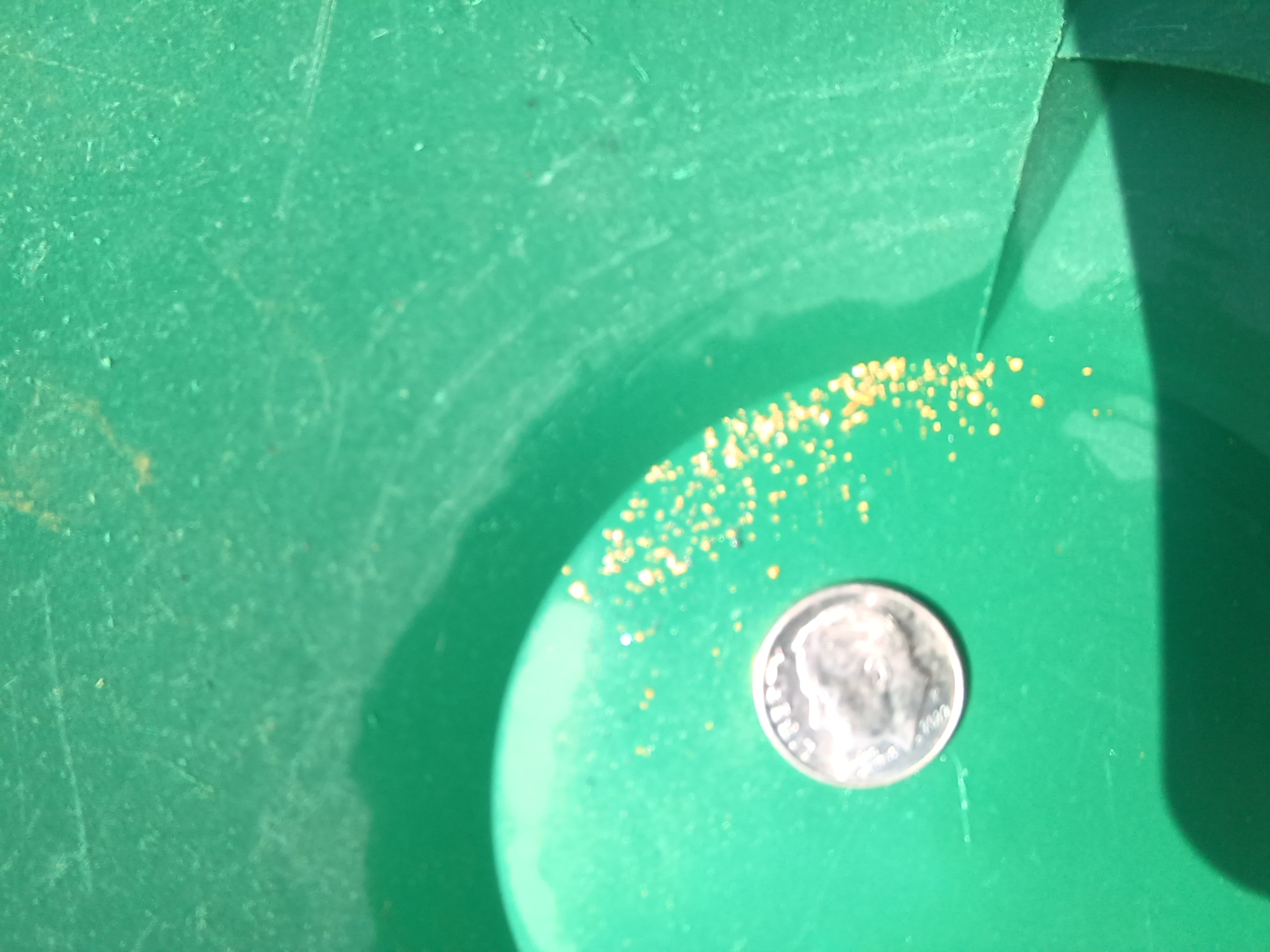 Member content 10 of 21