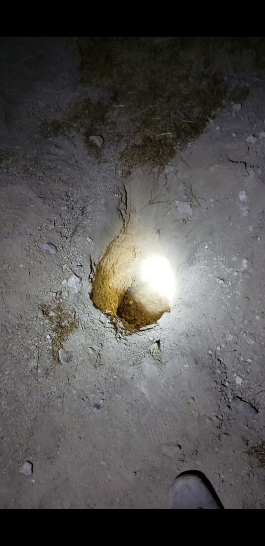 Member content 192 of 206