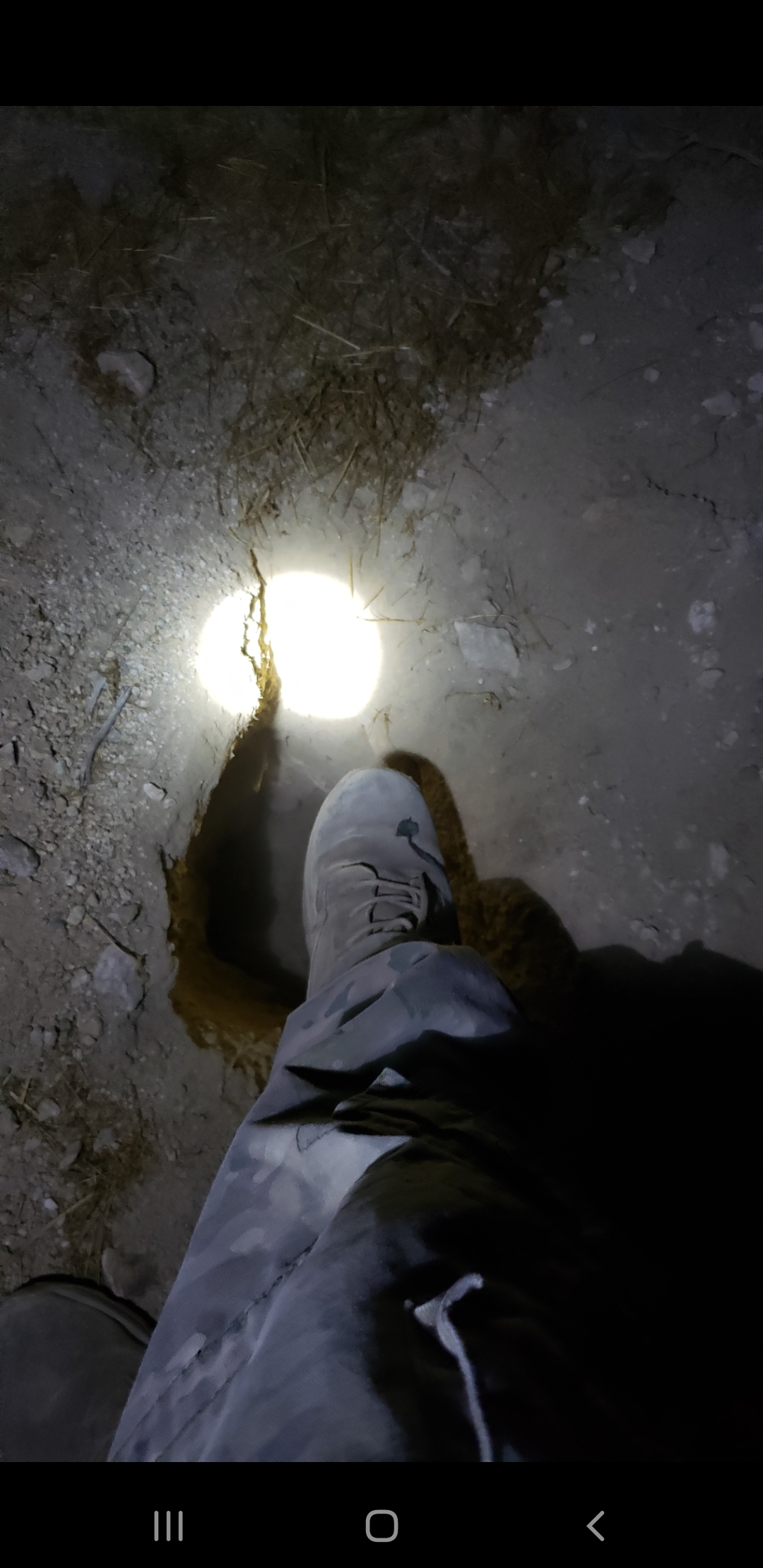 Member content 193 of 206