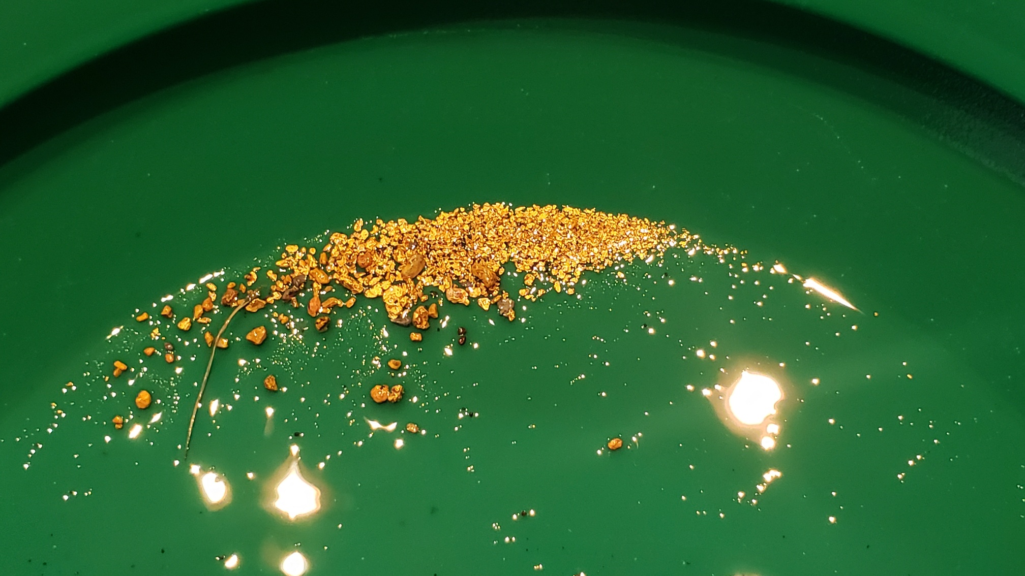 Member content 195 of 206