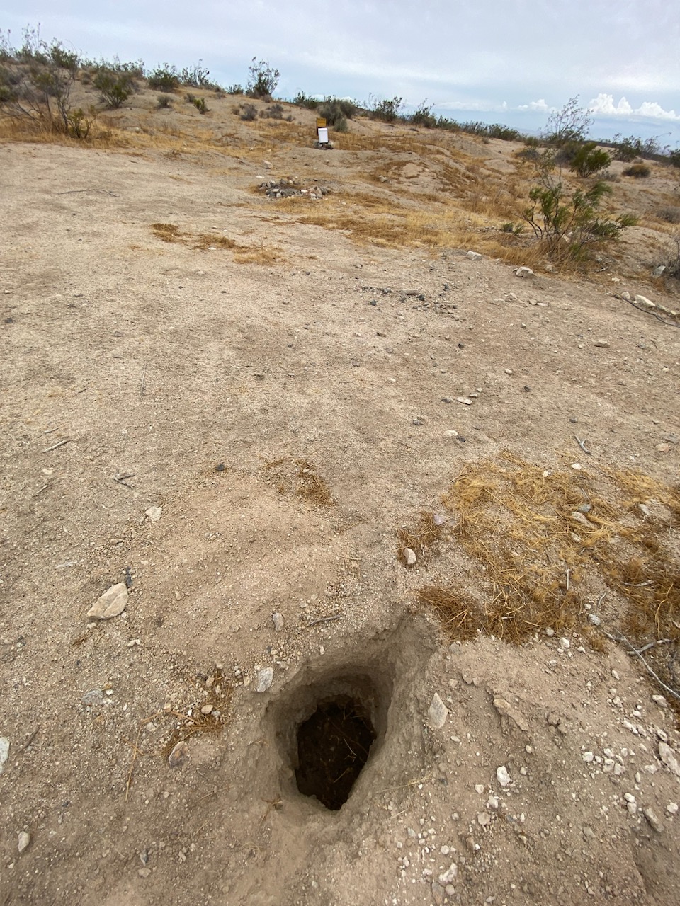 Member content 196 of 206