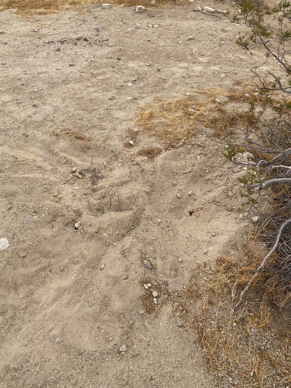 Member content 197 of 206