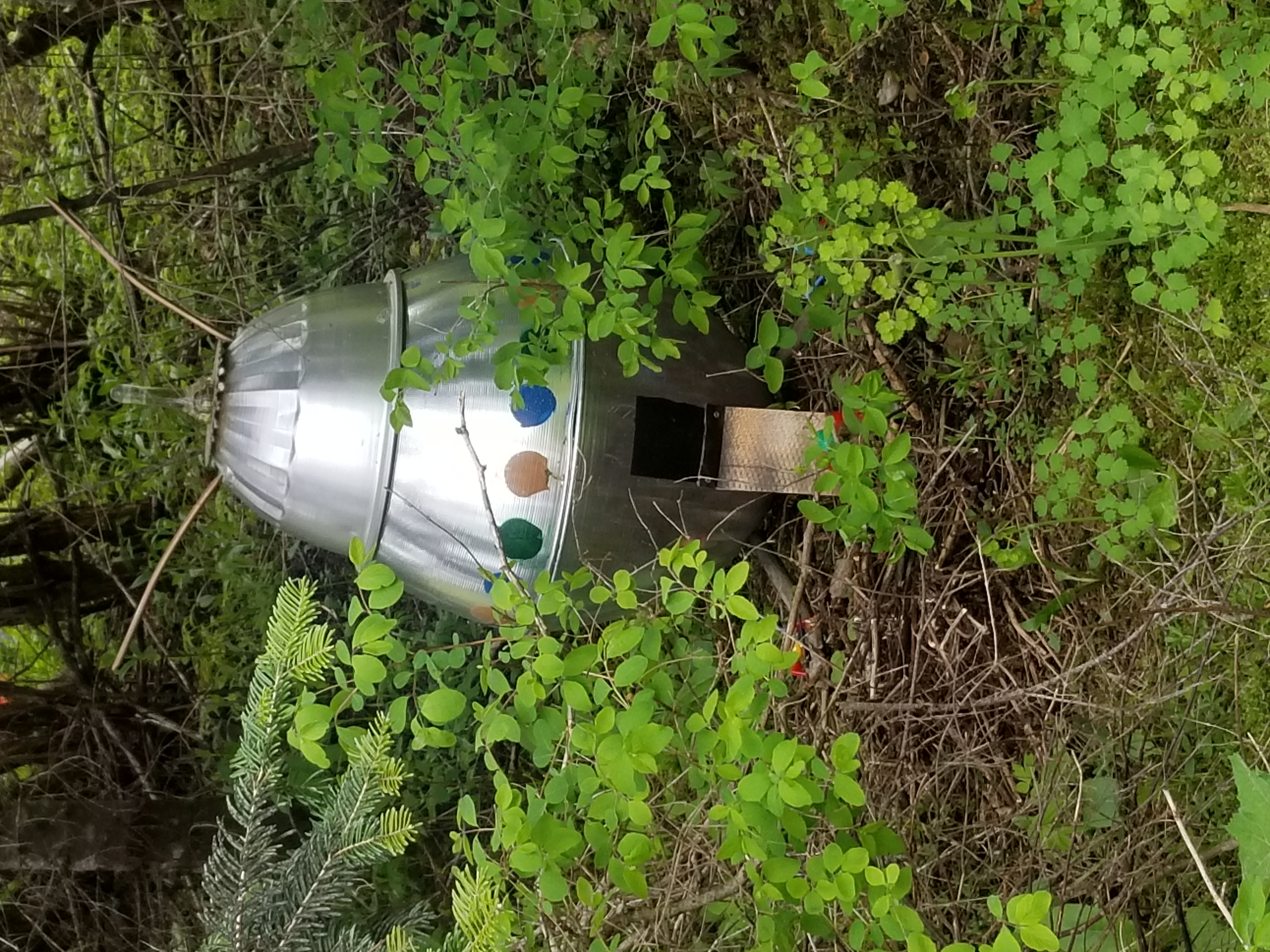 Member content 1 of 1