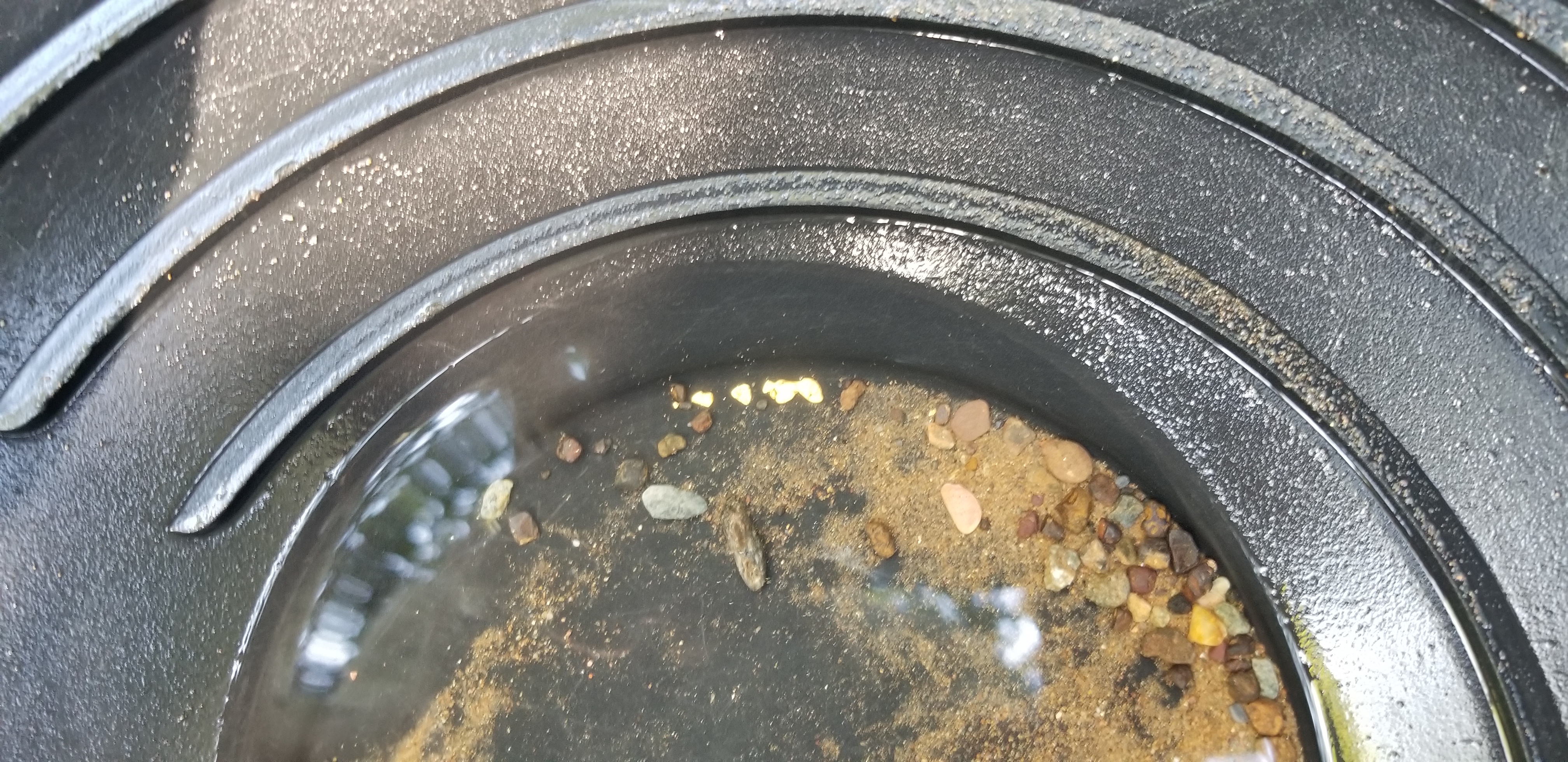 Member content 1 of 25