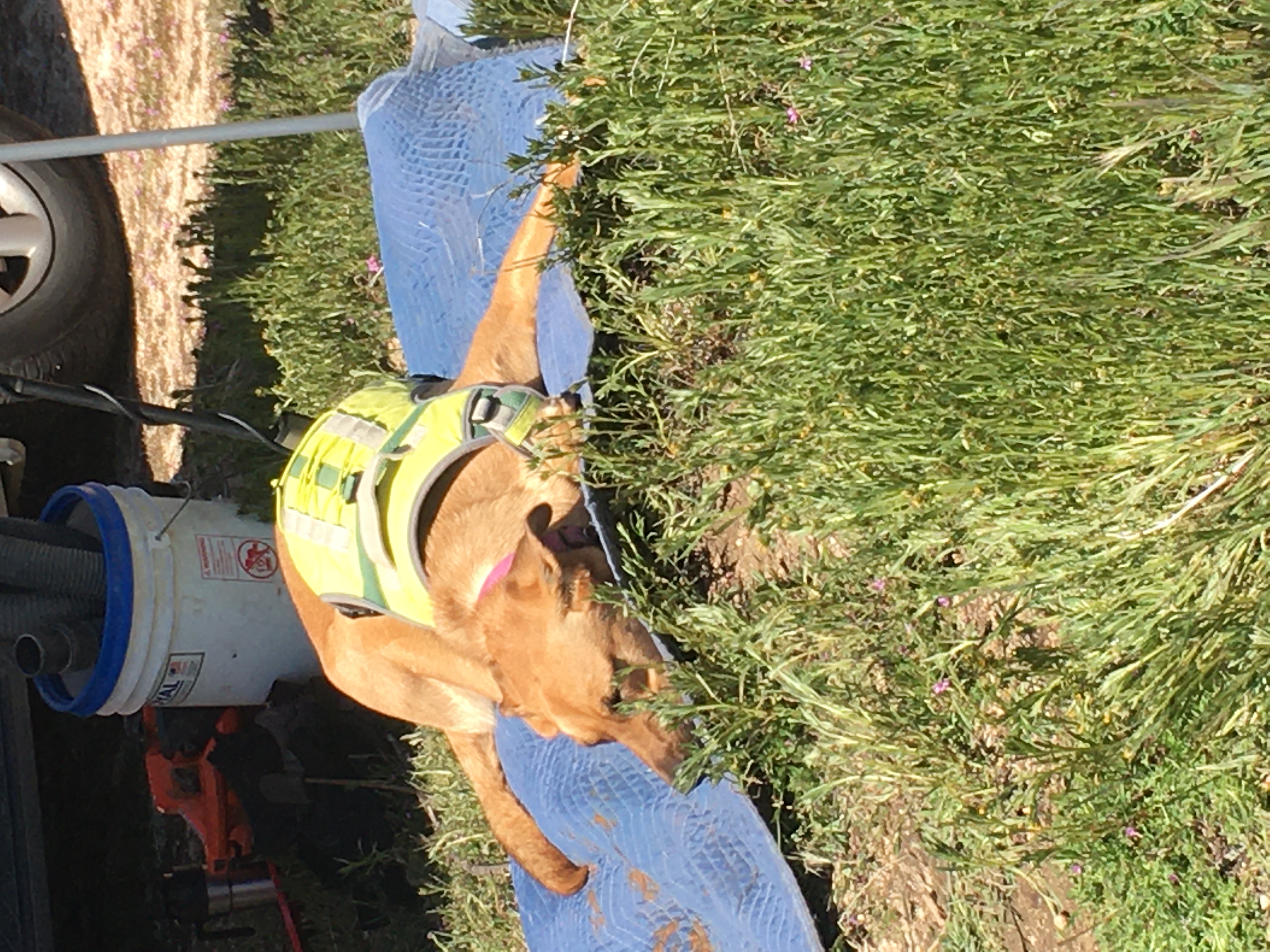 Member content 55 of 97