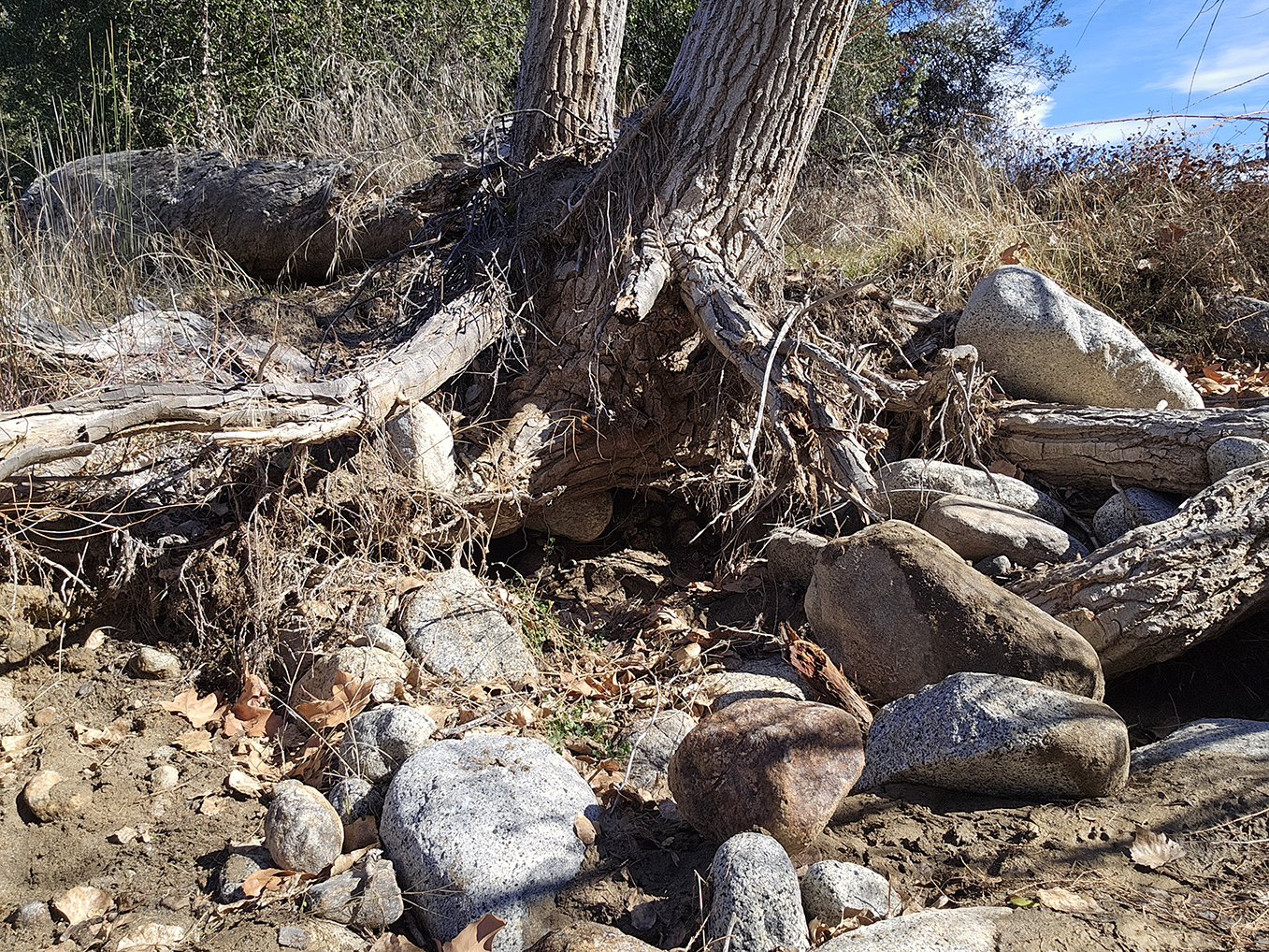 Member content 16 of 27