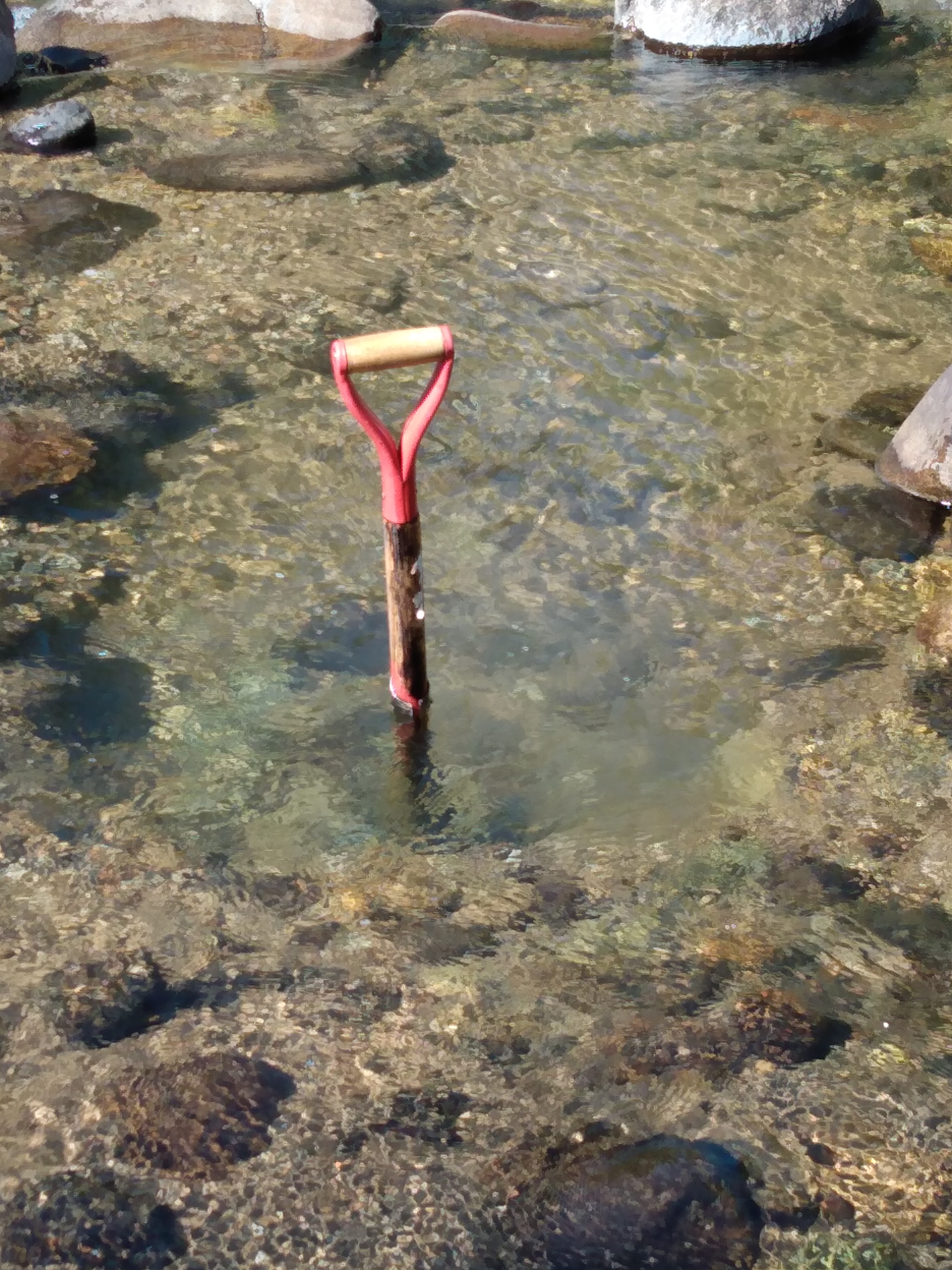 Member content 25 of 42