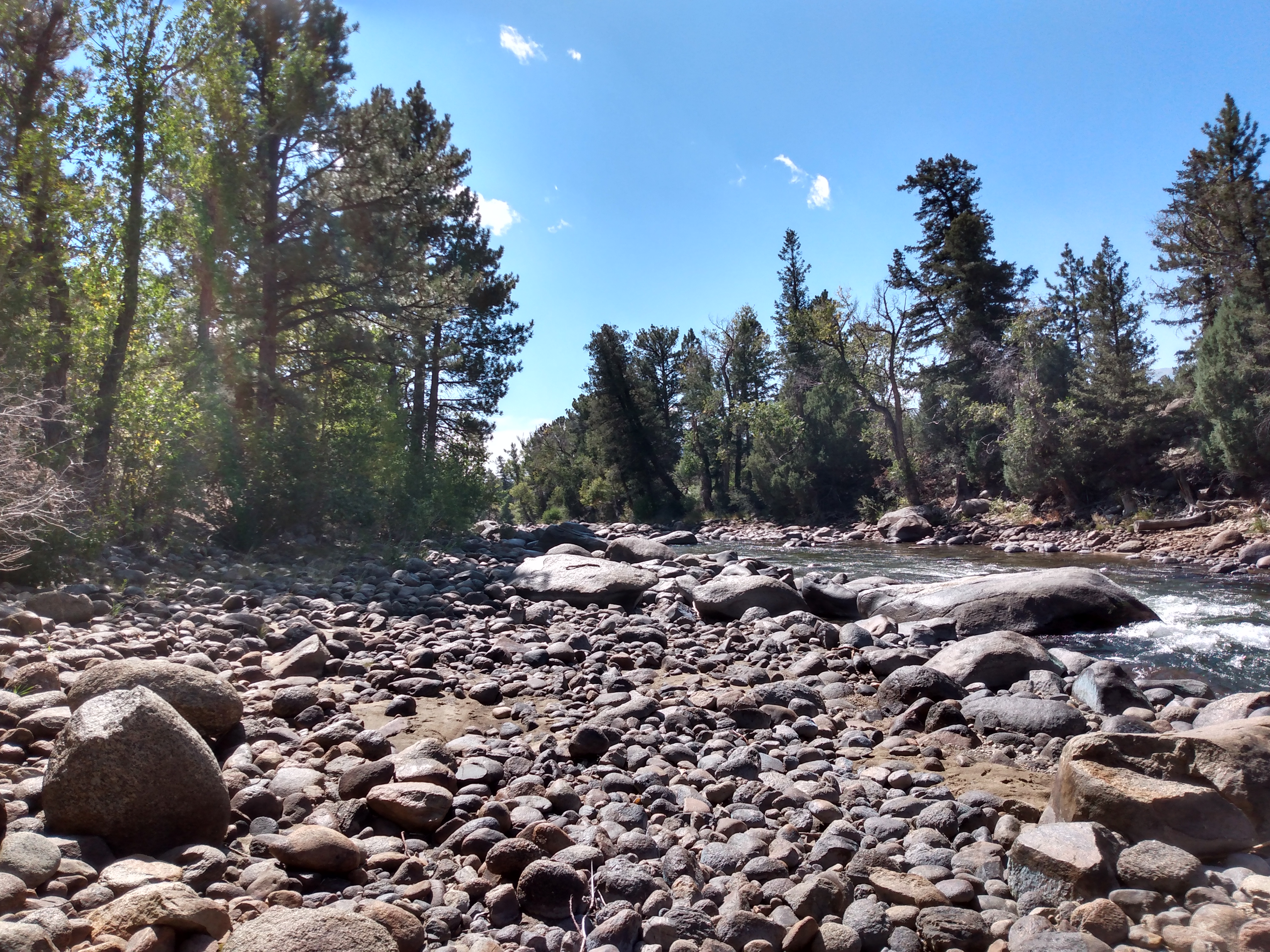 Member content 26 of 42