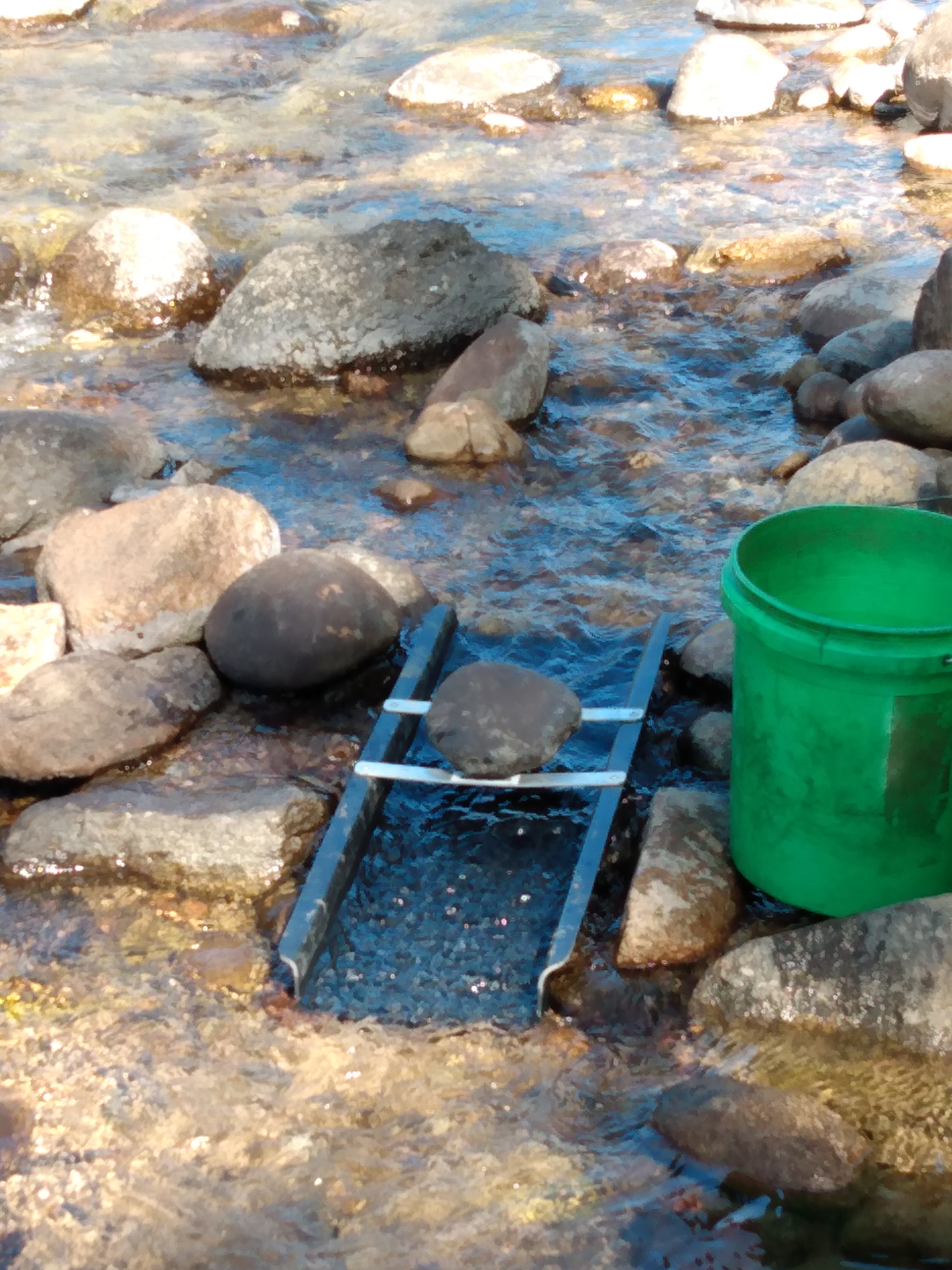 Member content 27 of 42