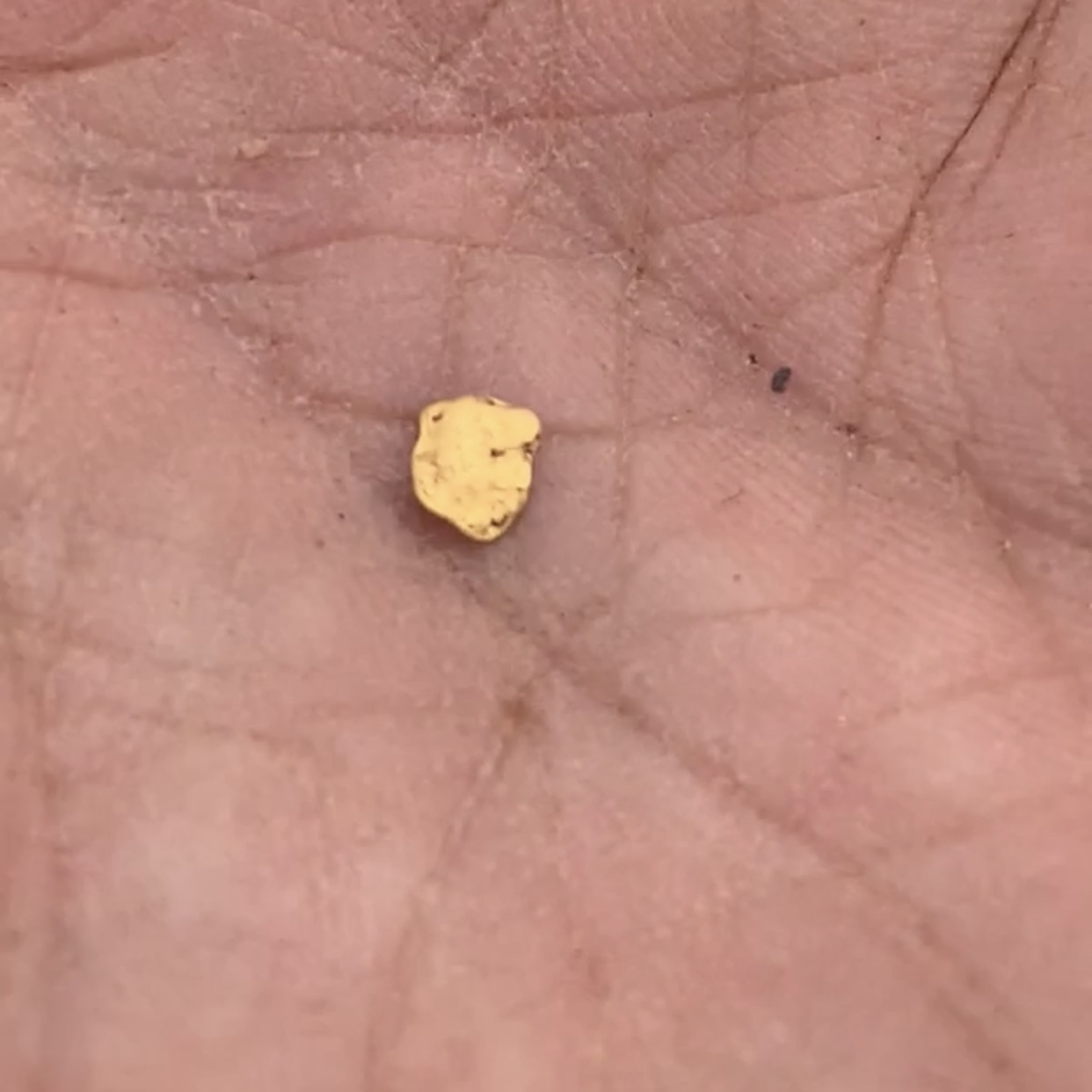 Member content 13 of 41