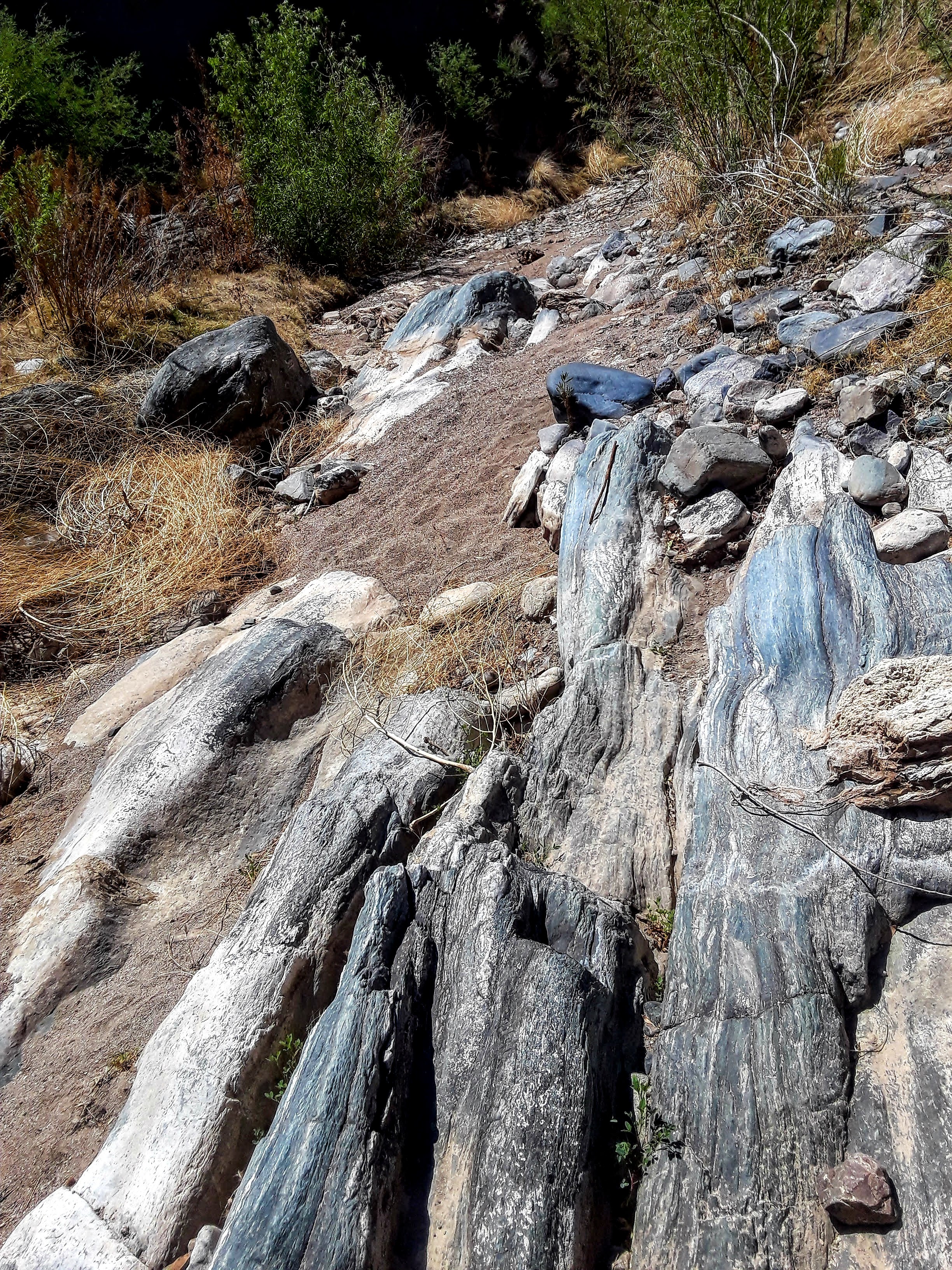 Member content 5 of 13