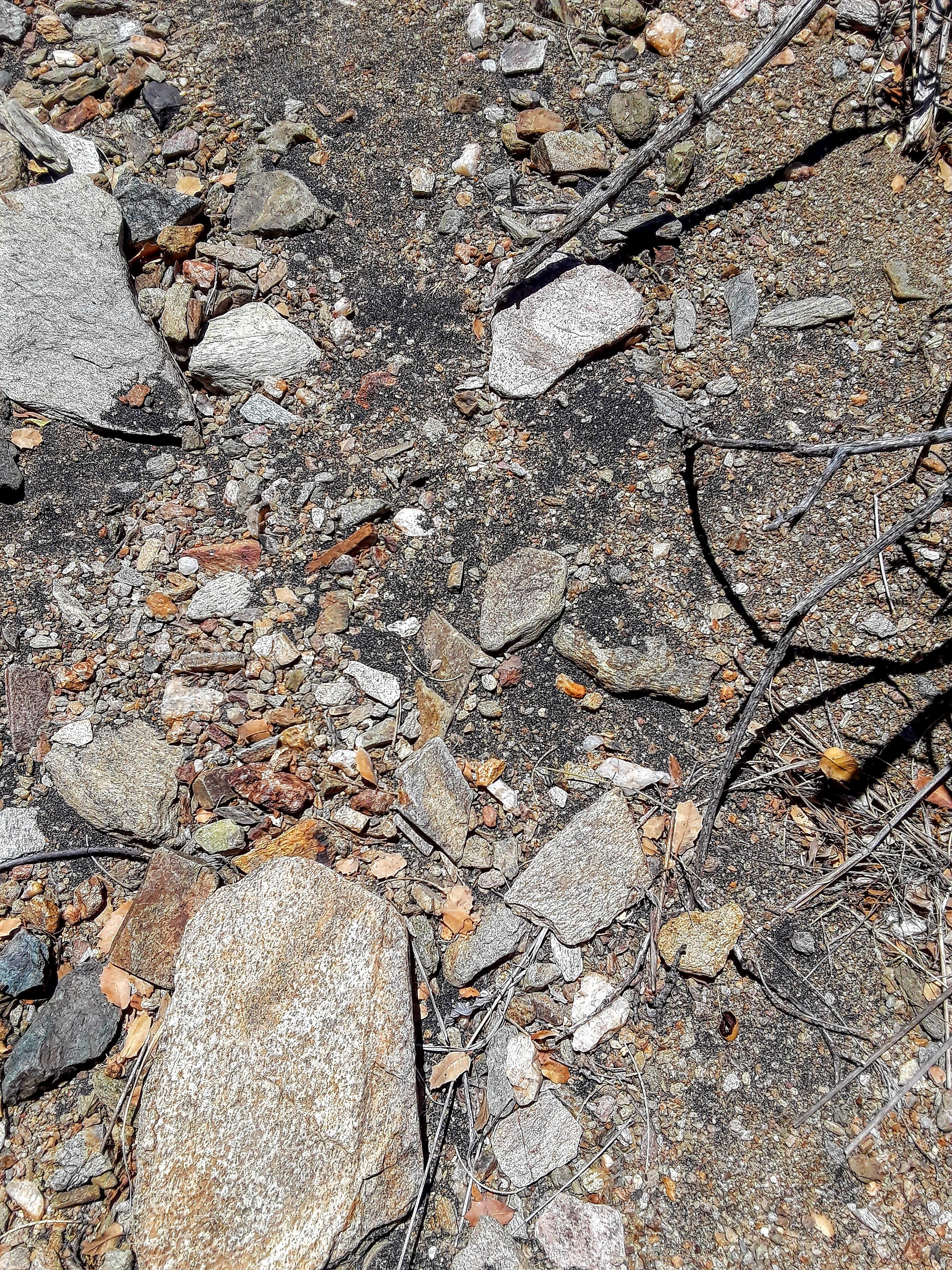 Member content 6 of 13