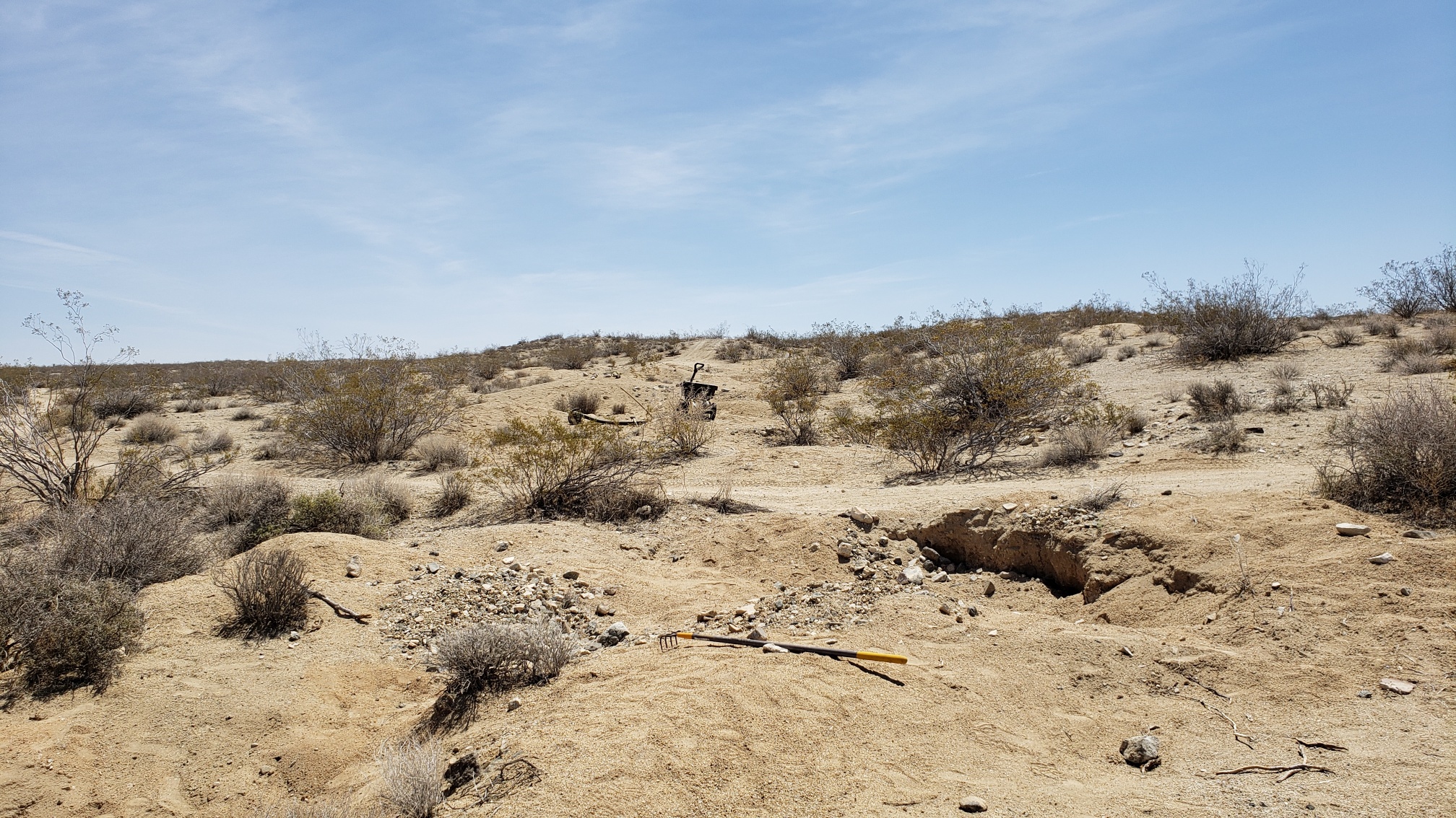 Member content 177 of 206