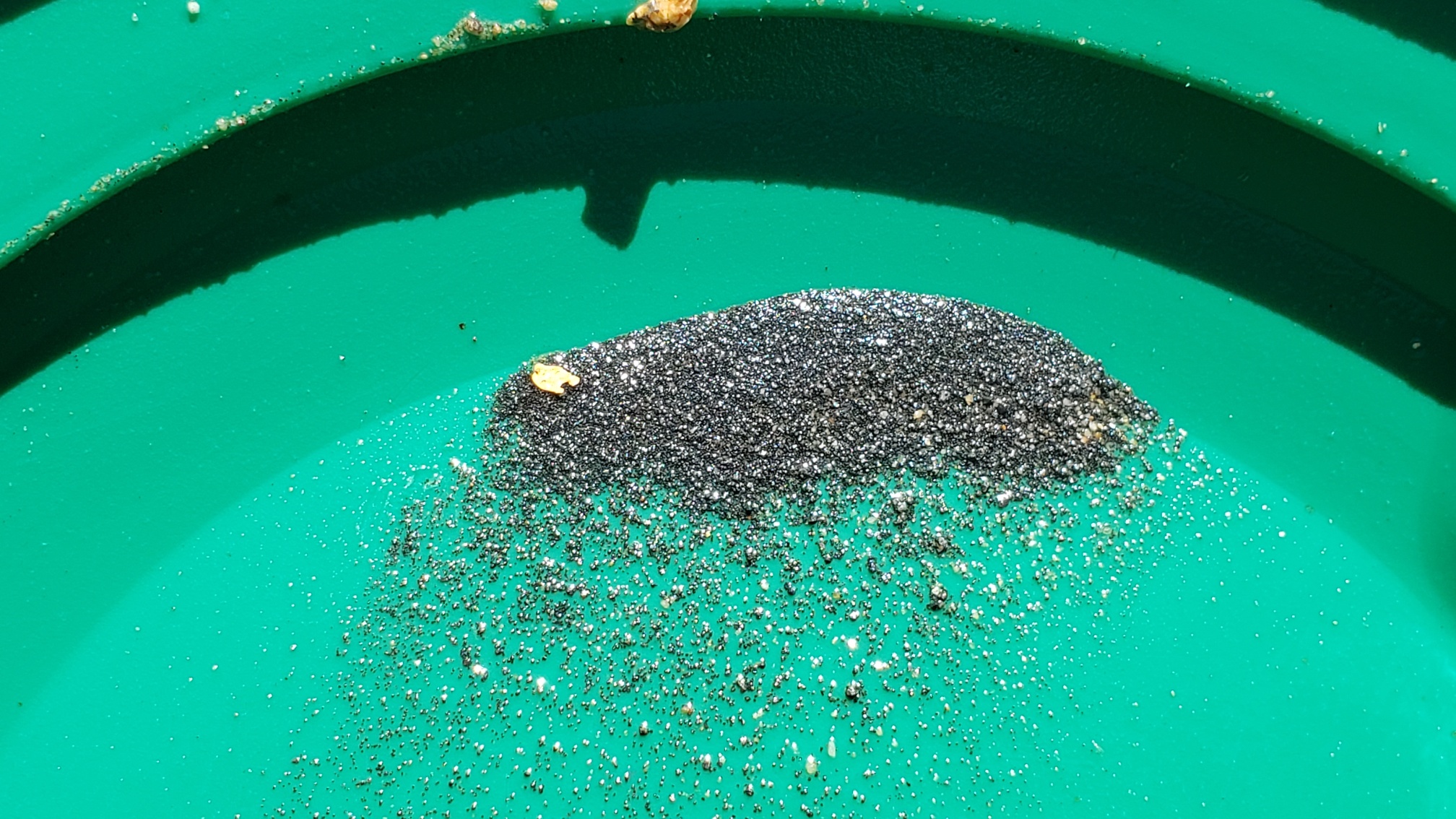 Member content 179 of 206