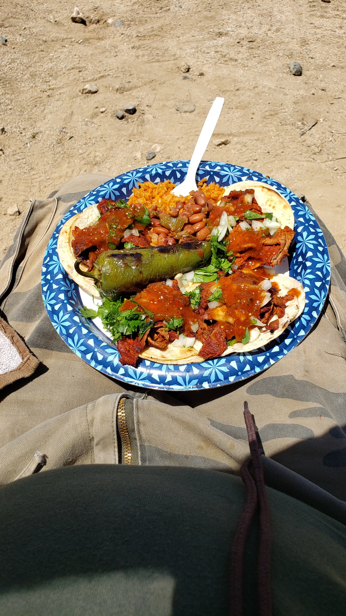 Member content 181 of 206