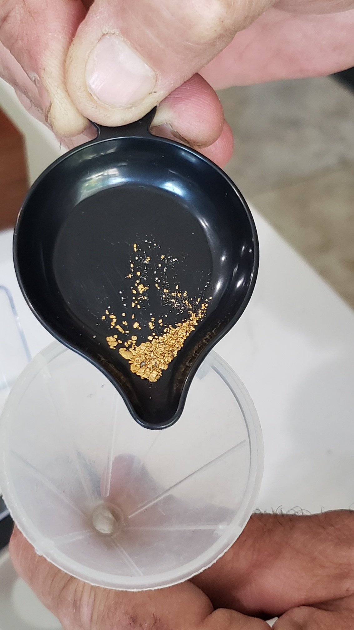 Member content 183 of 206