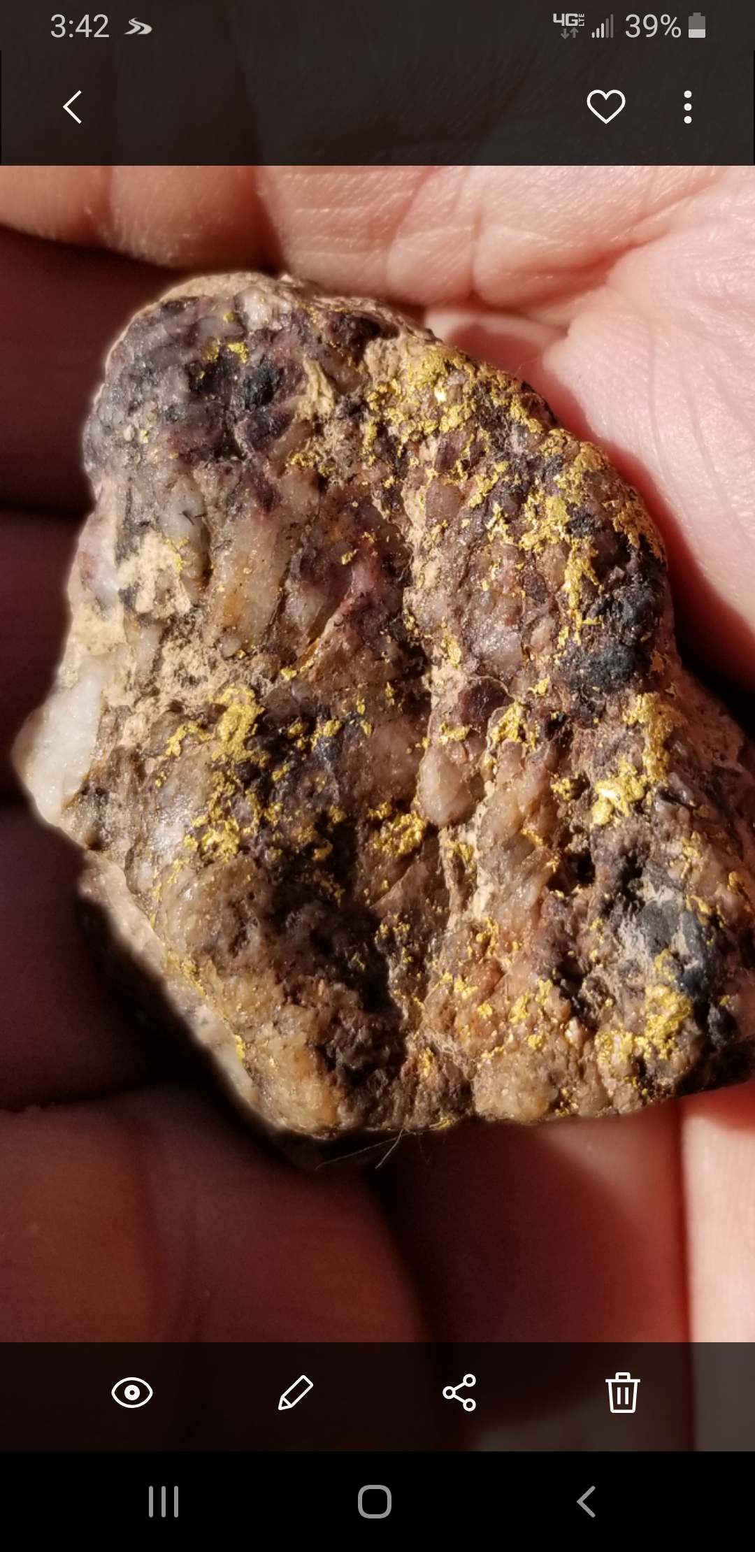 Member content 14 of 41