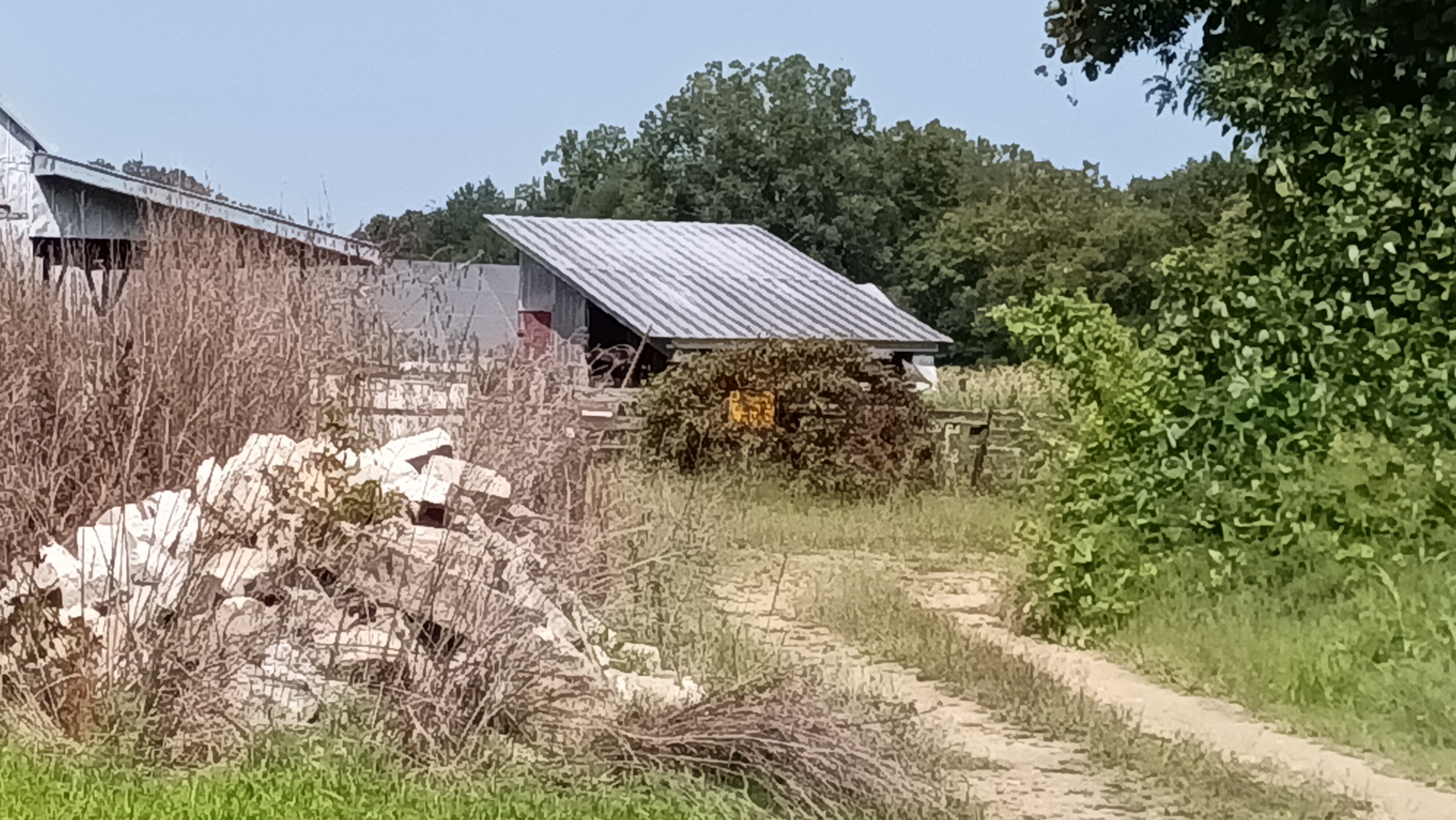 Member content 8 of 21