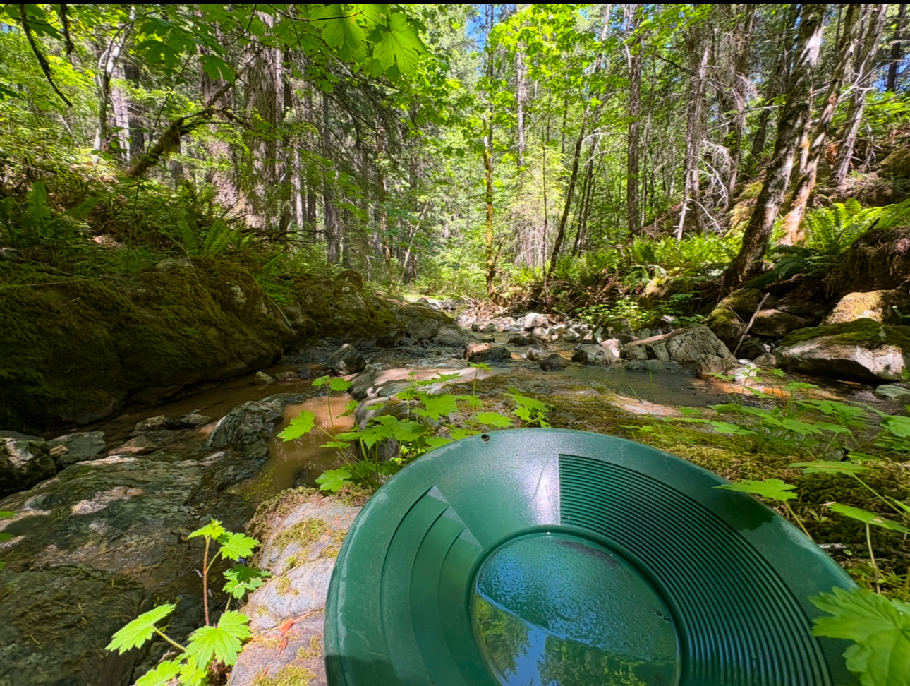 Member content 4 of 8