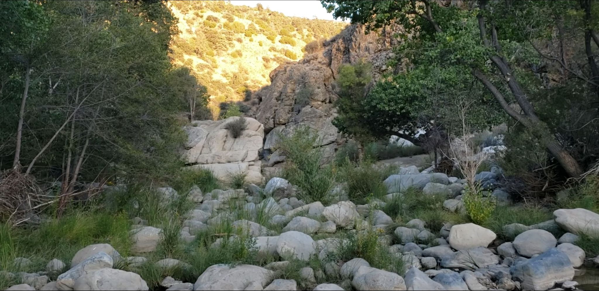 Member content 1 of 27