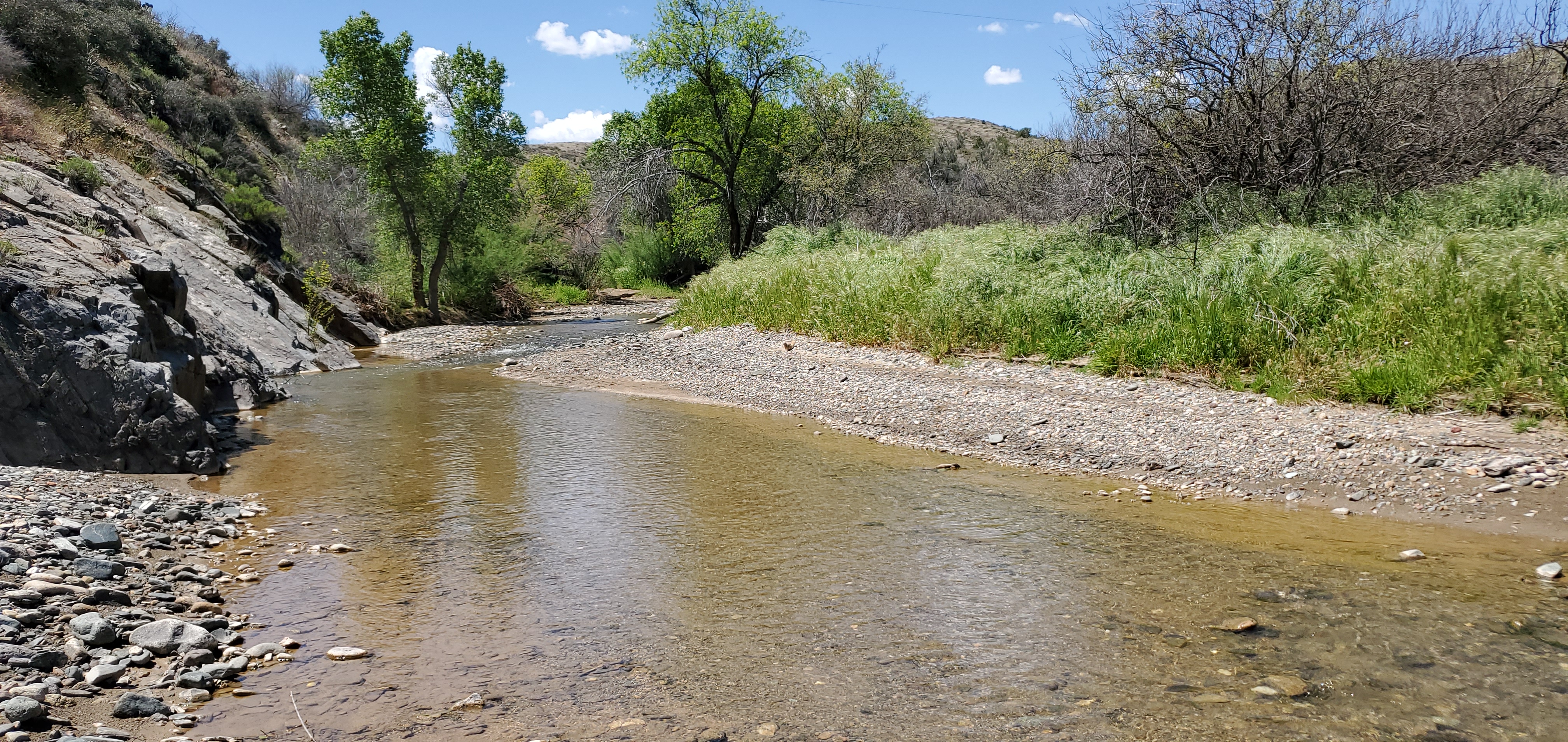 Member content 2 of 13