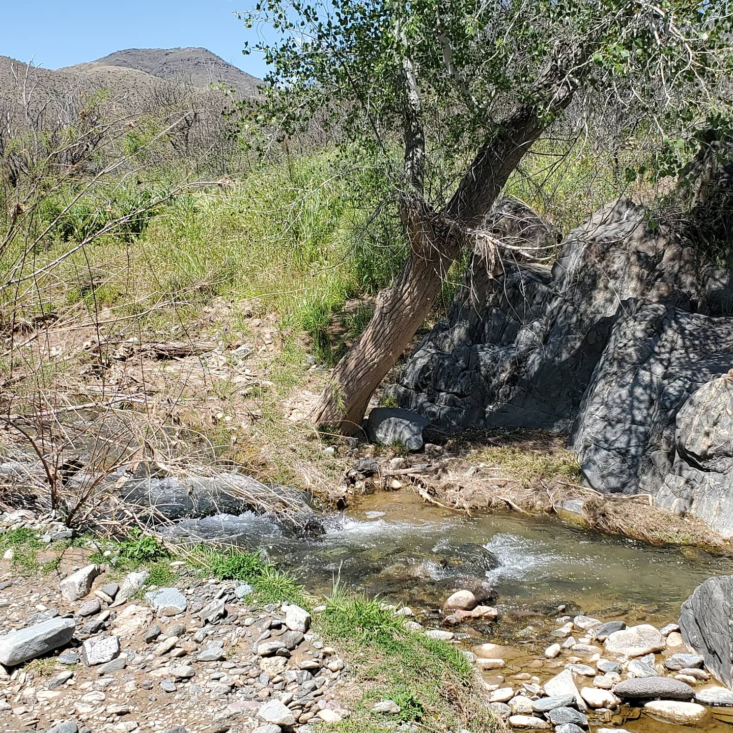 Member content 3 of 13