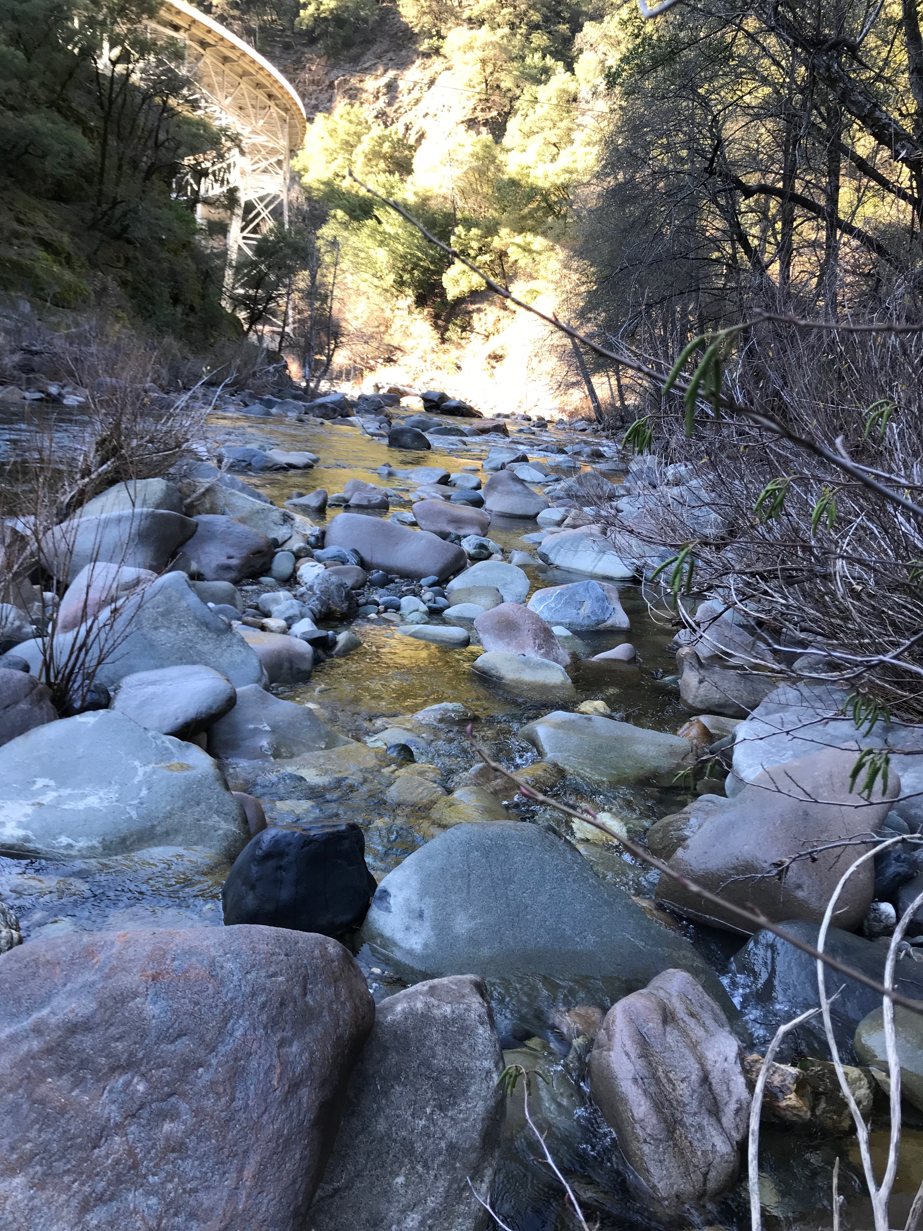 Member content 12 of 38