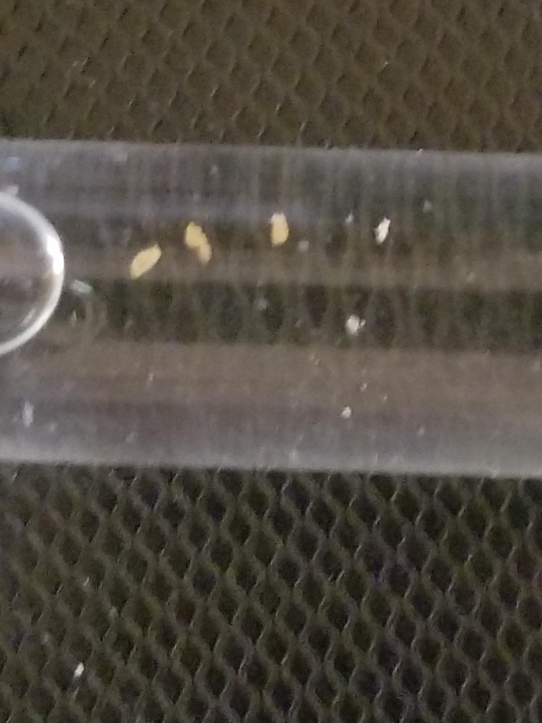 Member content 2 of 6