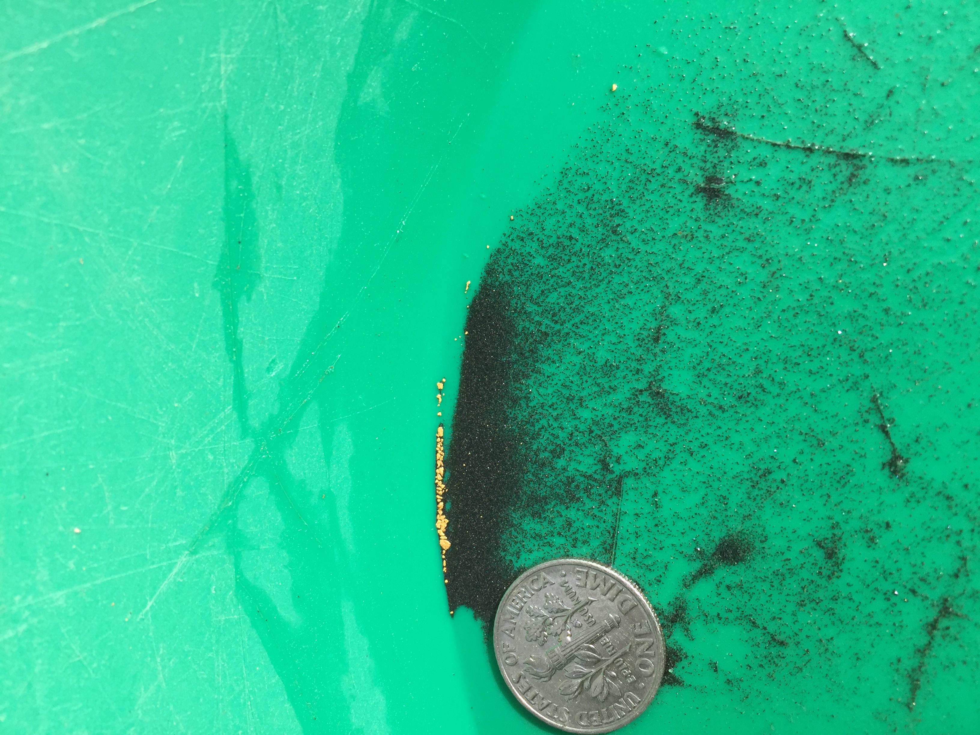 Member content 1 of 13