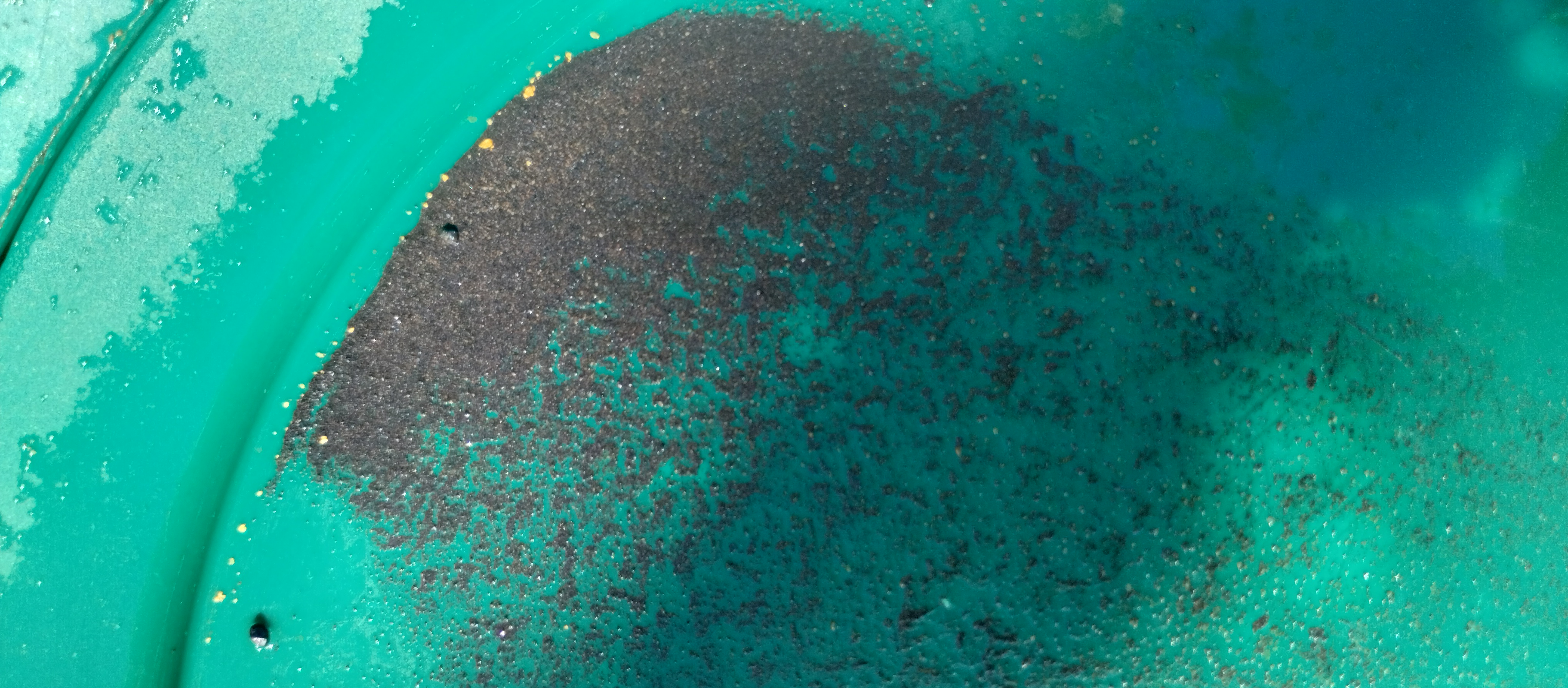 Member content 19 of 21