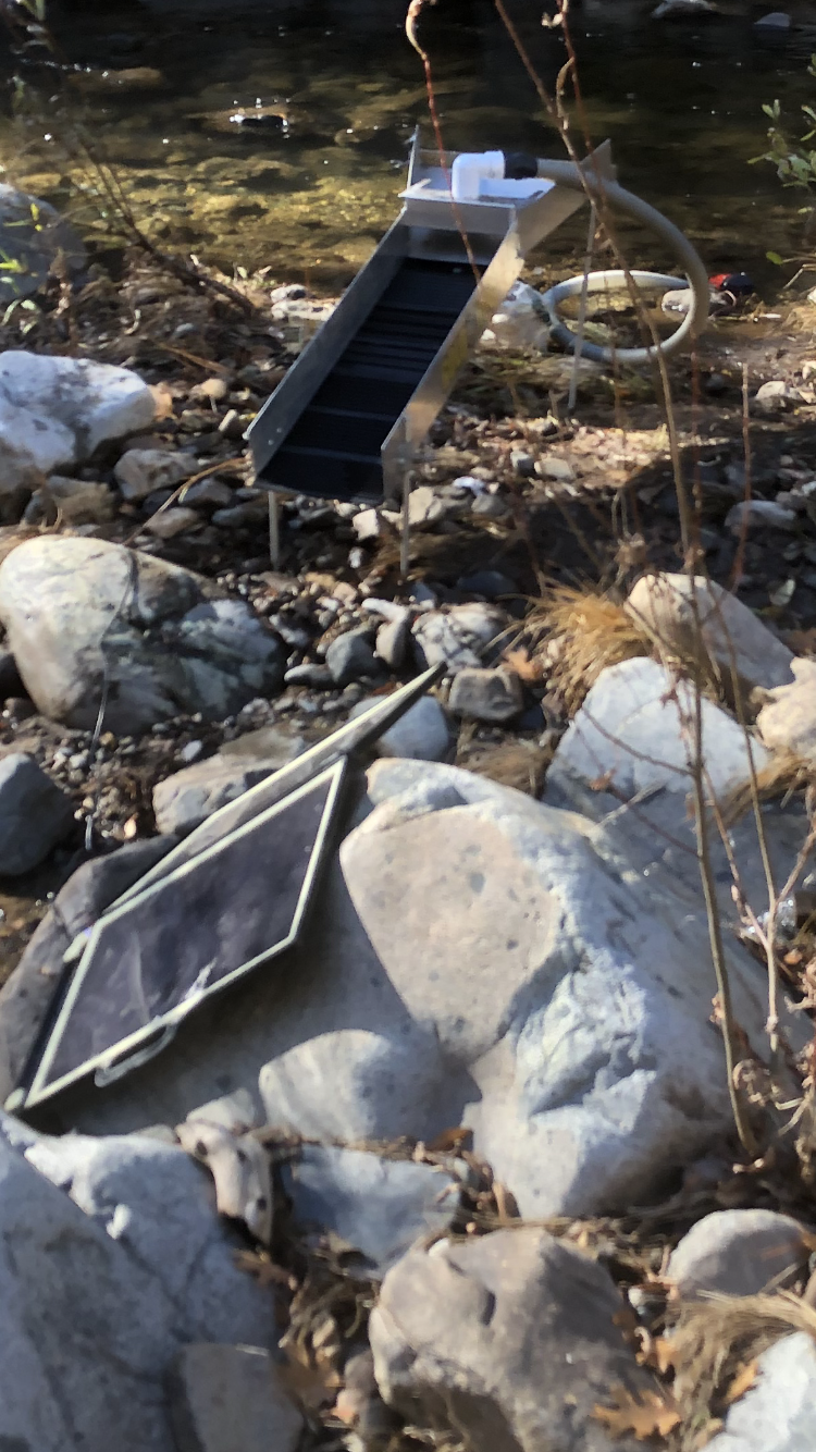 Member content 29 of 42