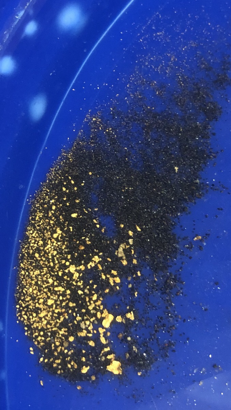 Member content 31 of 42