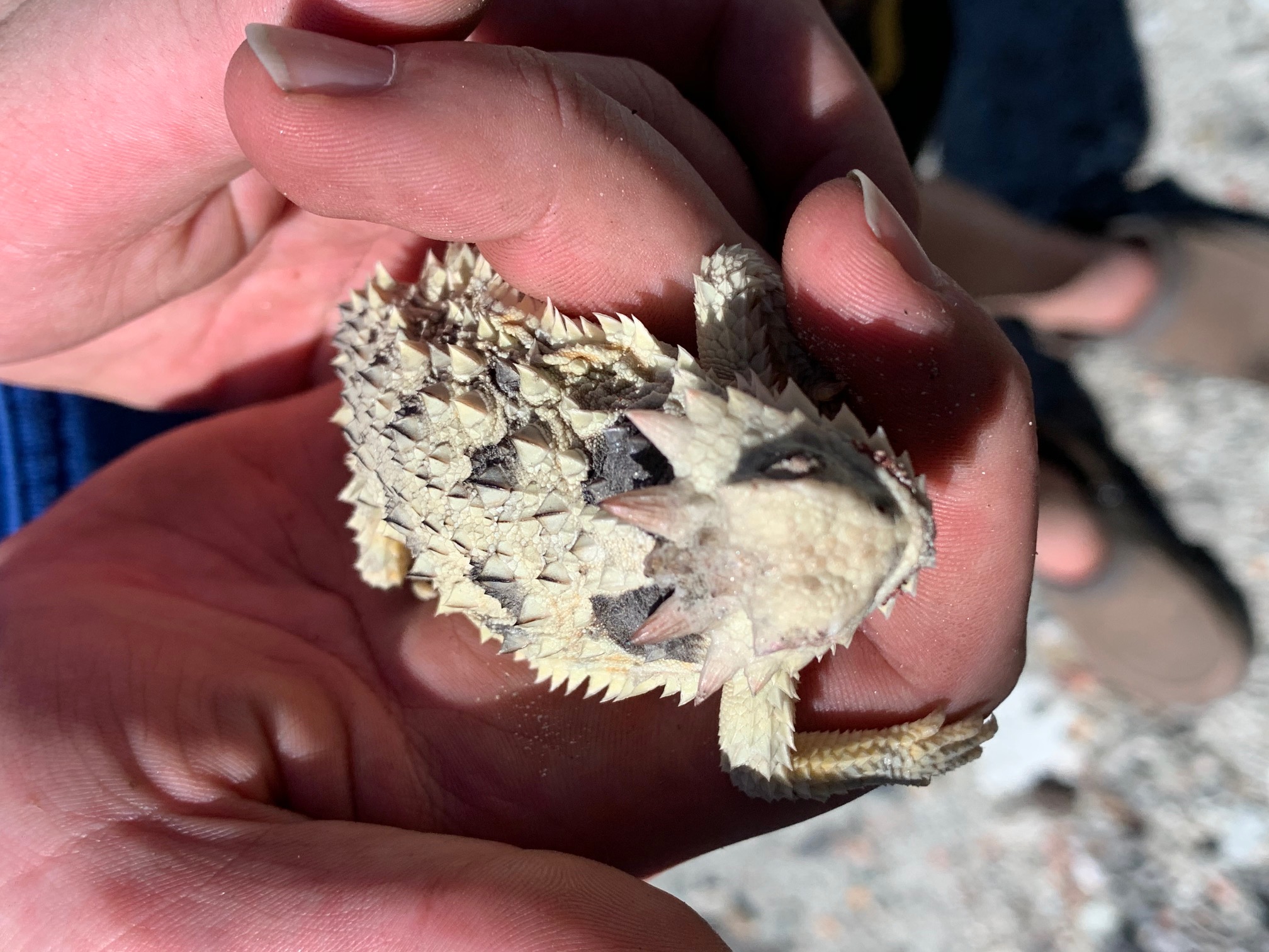 Member content 16 of 33